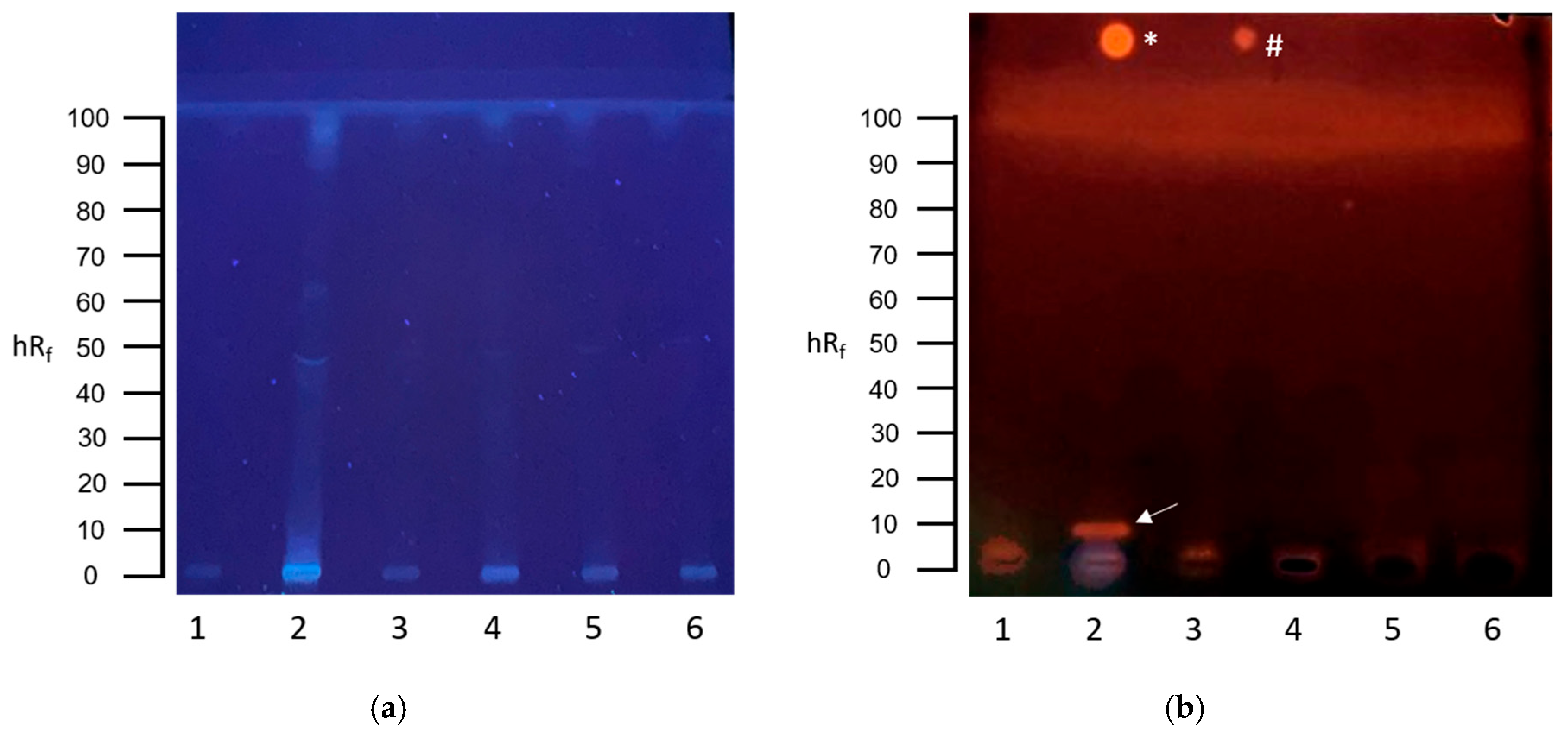 Toxics 13 00936 g001 Toxics 13 00936 g001