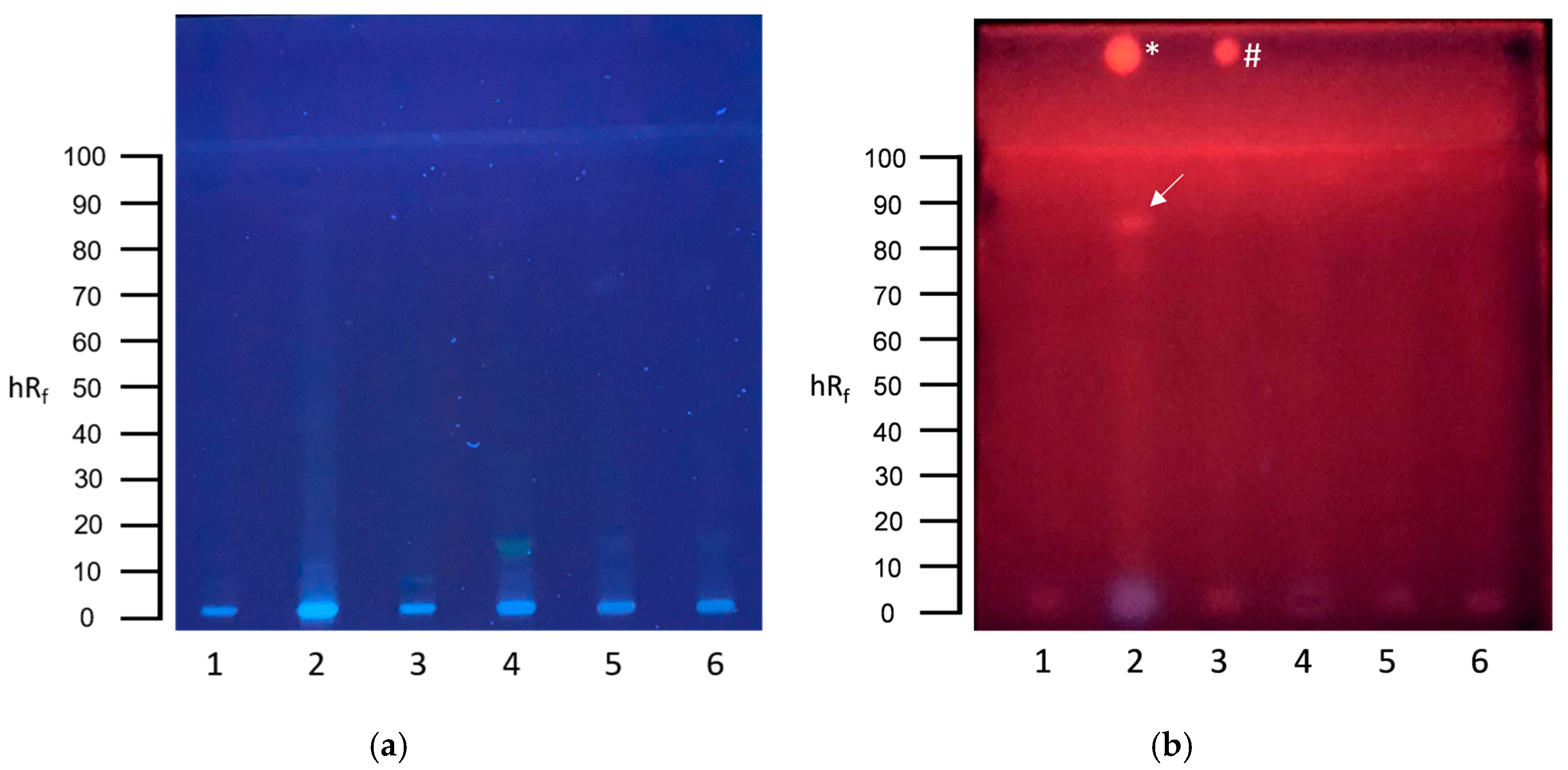 Toxics 13 00936 g002 Toxics 13 00936 g002