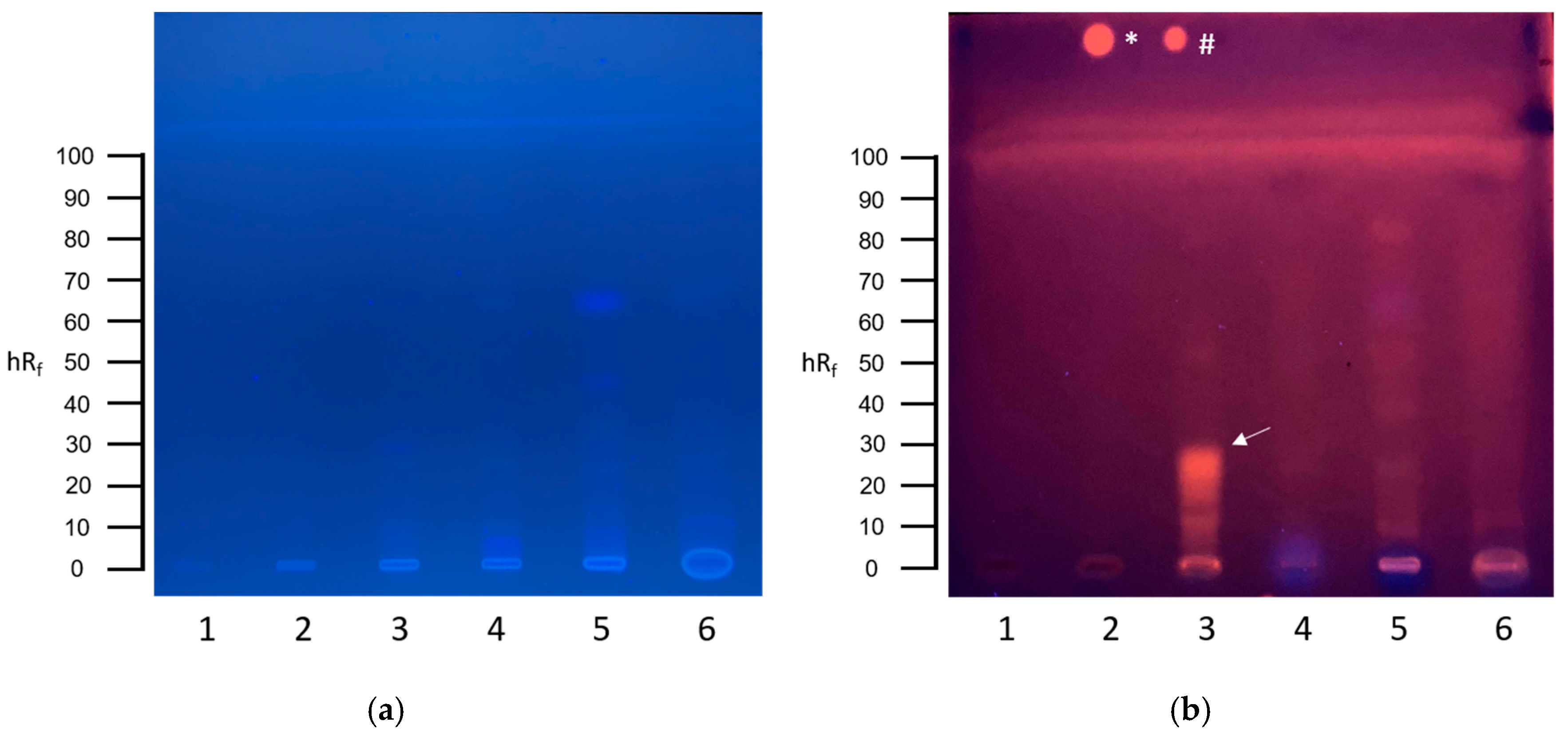 Toxics 13 00936 g003 Toxics 13 00936 g003