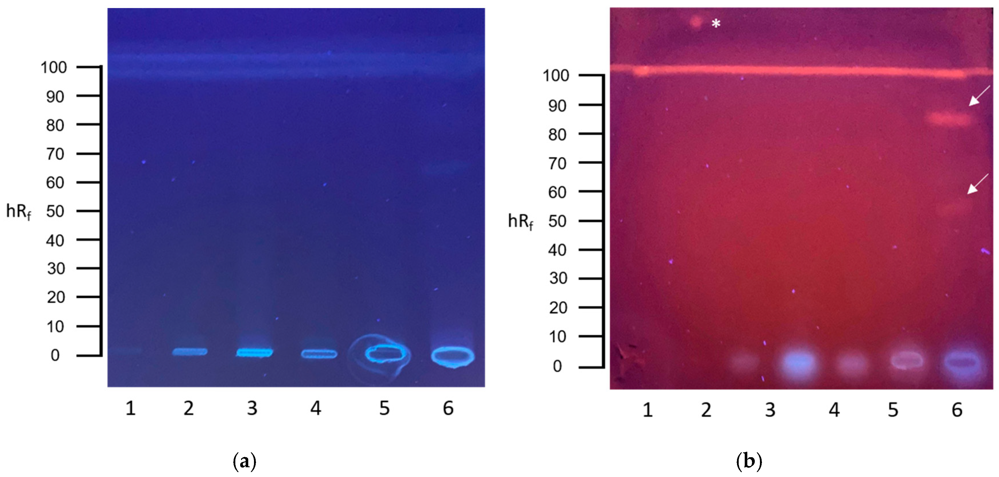 Toxics 13 00936 g004 Toxics 13 00936 g004