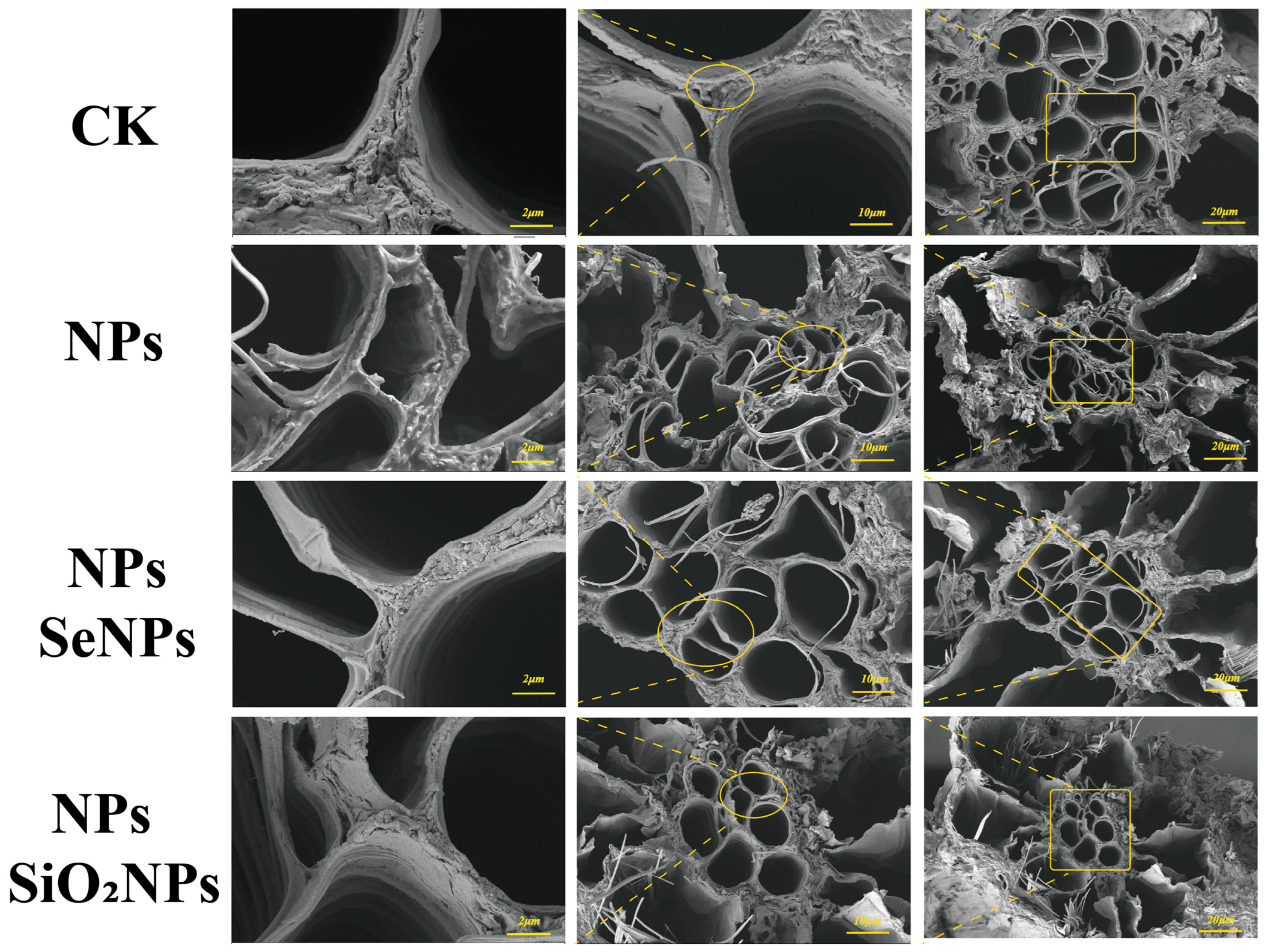 Toxics 13 00938 g002