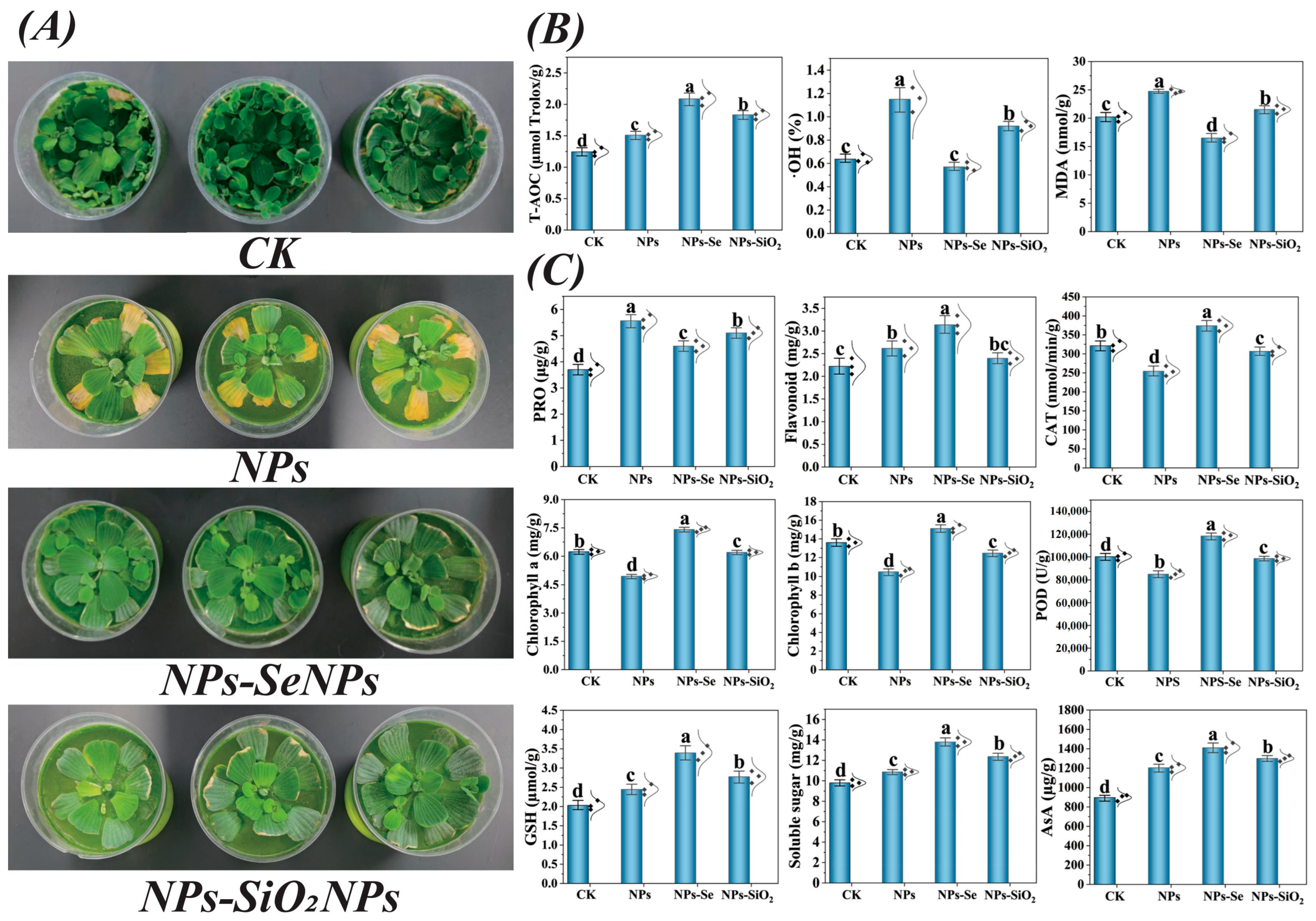 Toxics 13 00938 g003