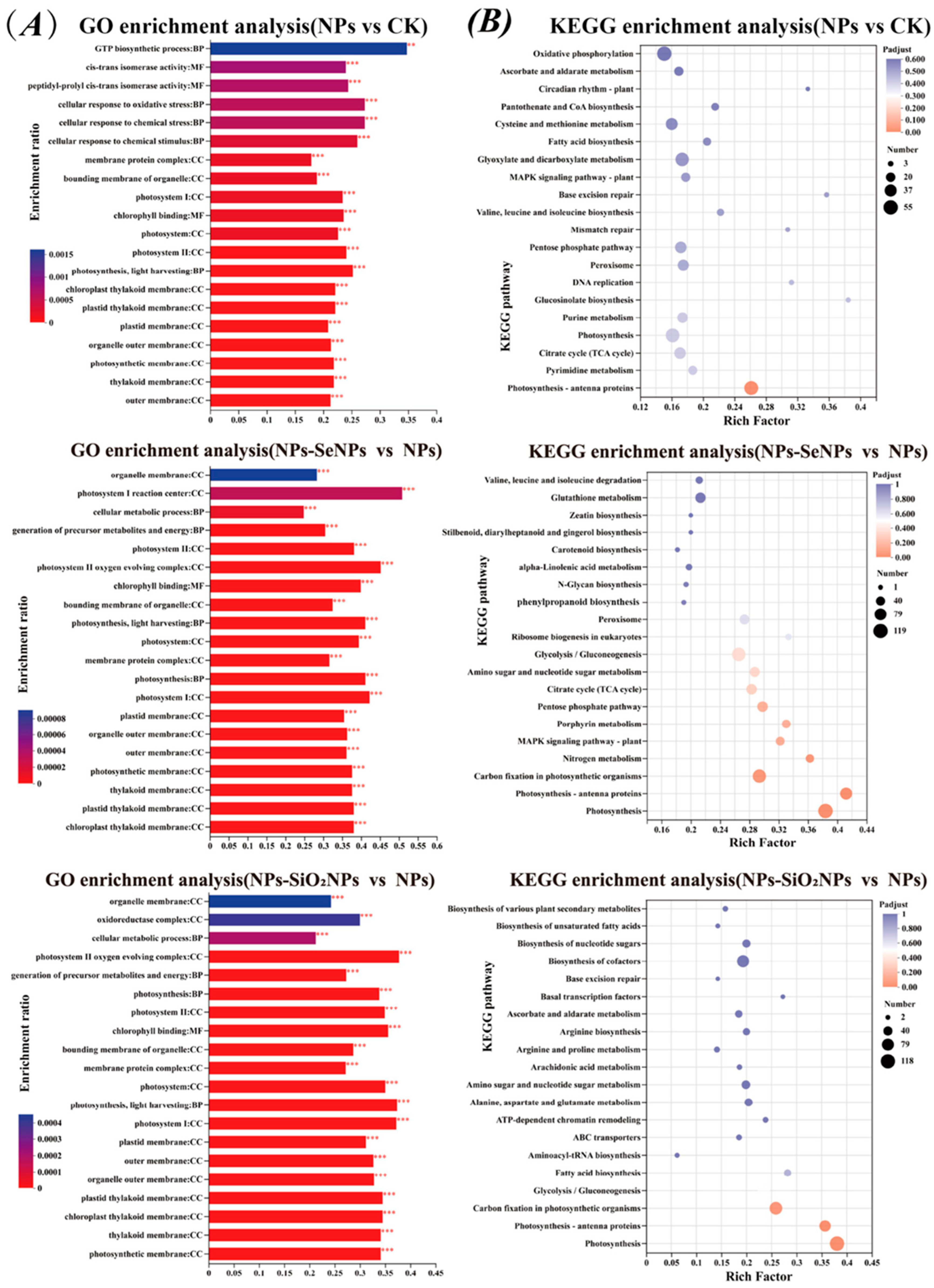 Toxics 13 00938 g006