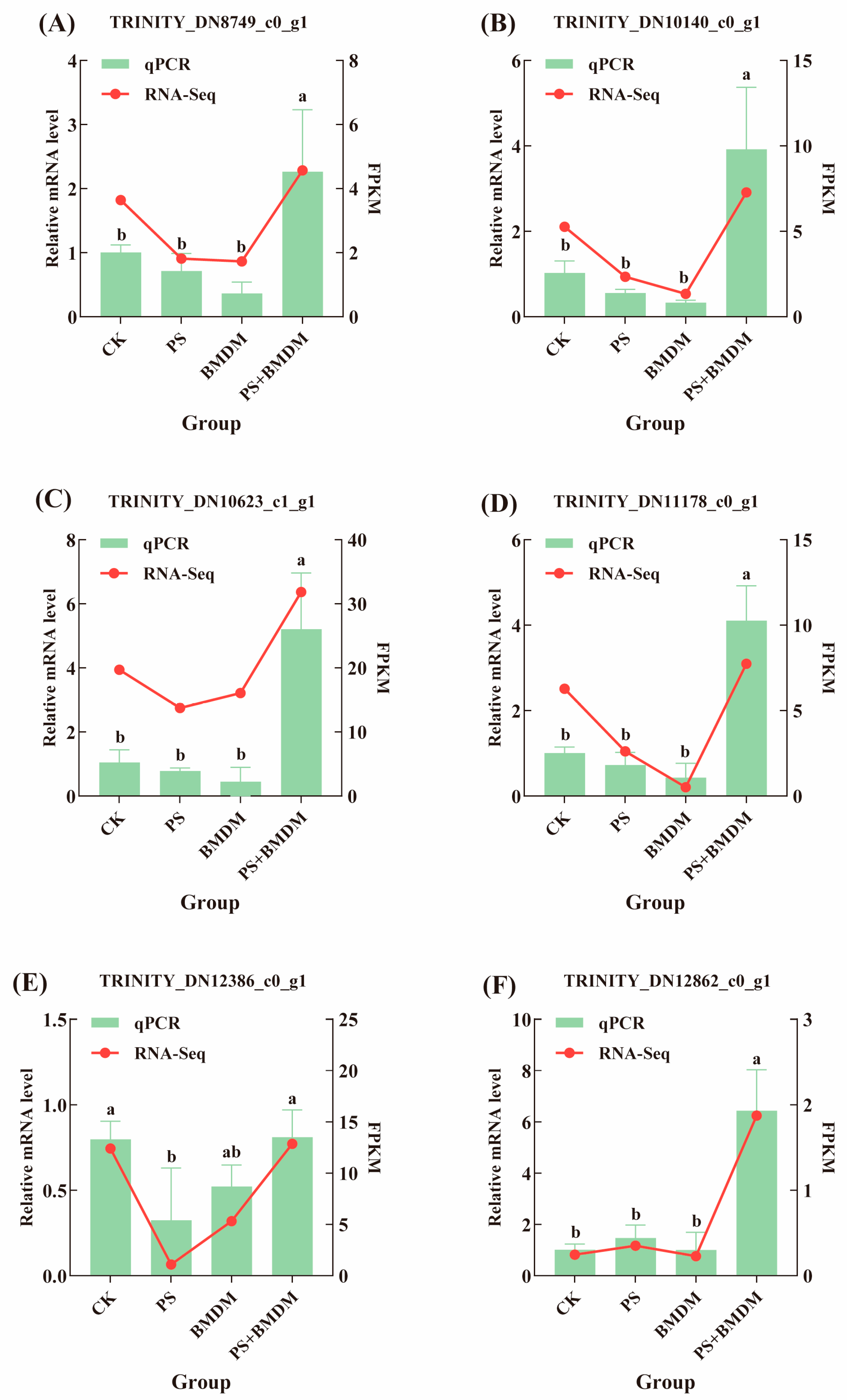 Toxics 13 00946 g005 Toxics 13 00946 g005