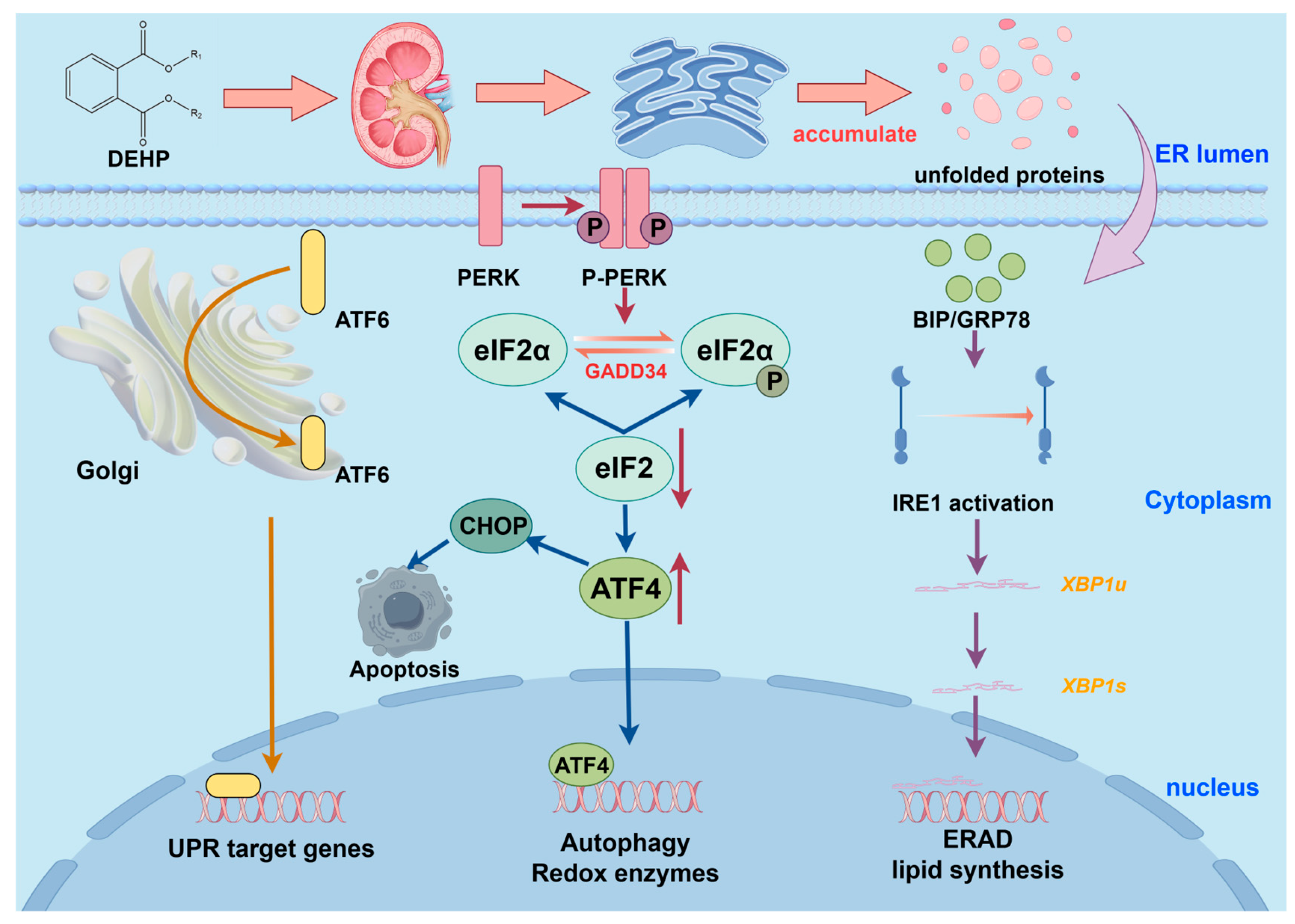 Toxics 13 00947 g003