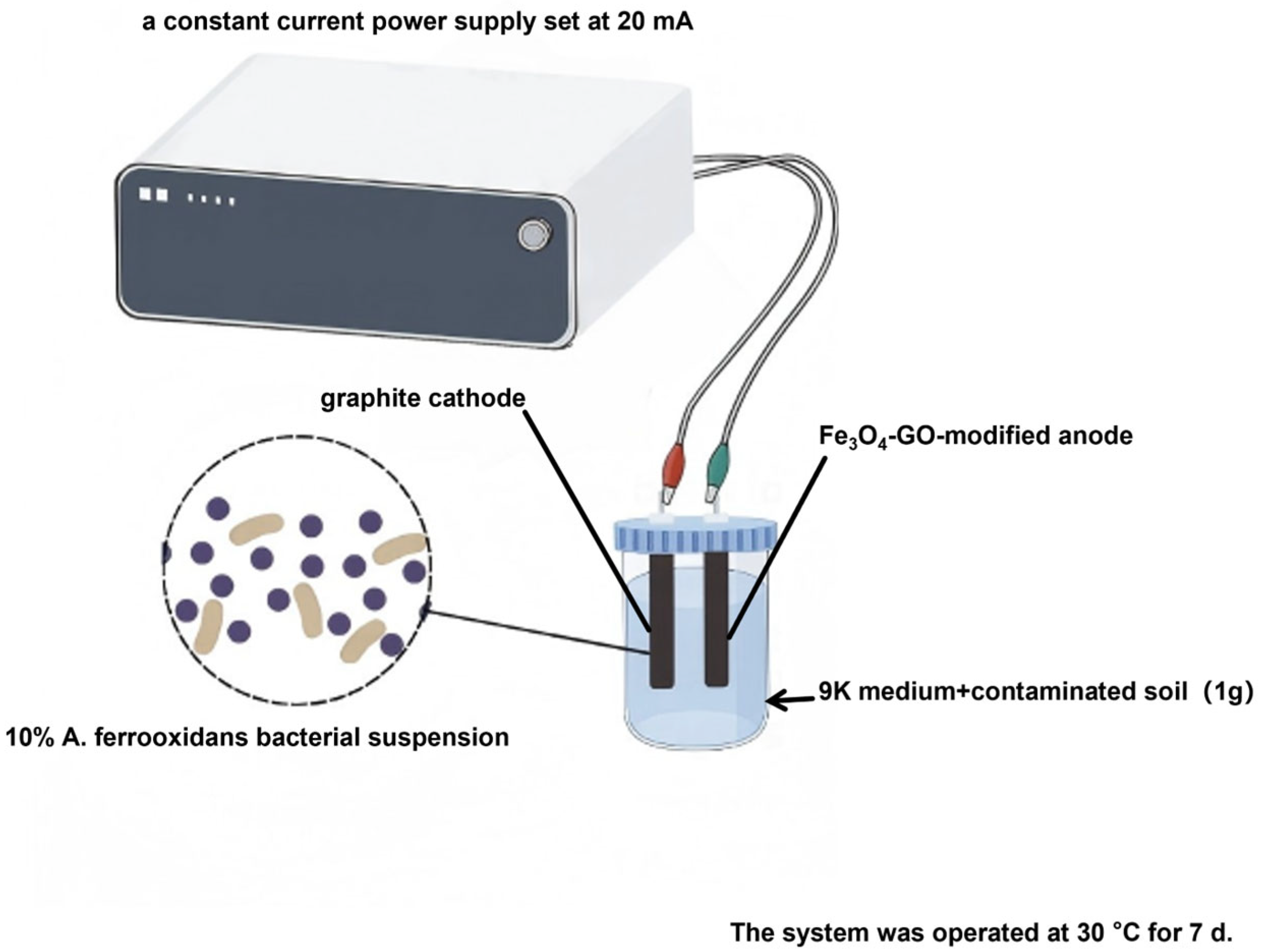 Toxics 13 00959 g002