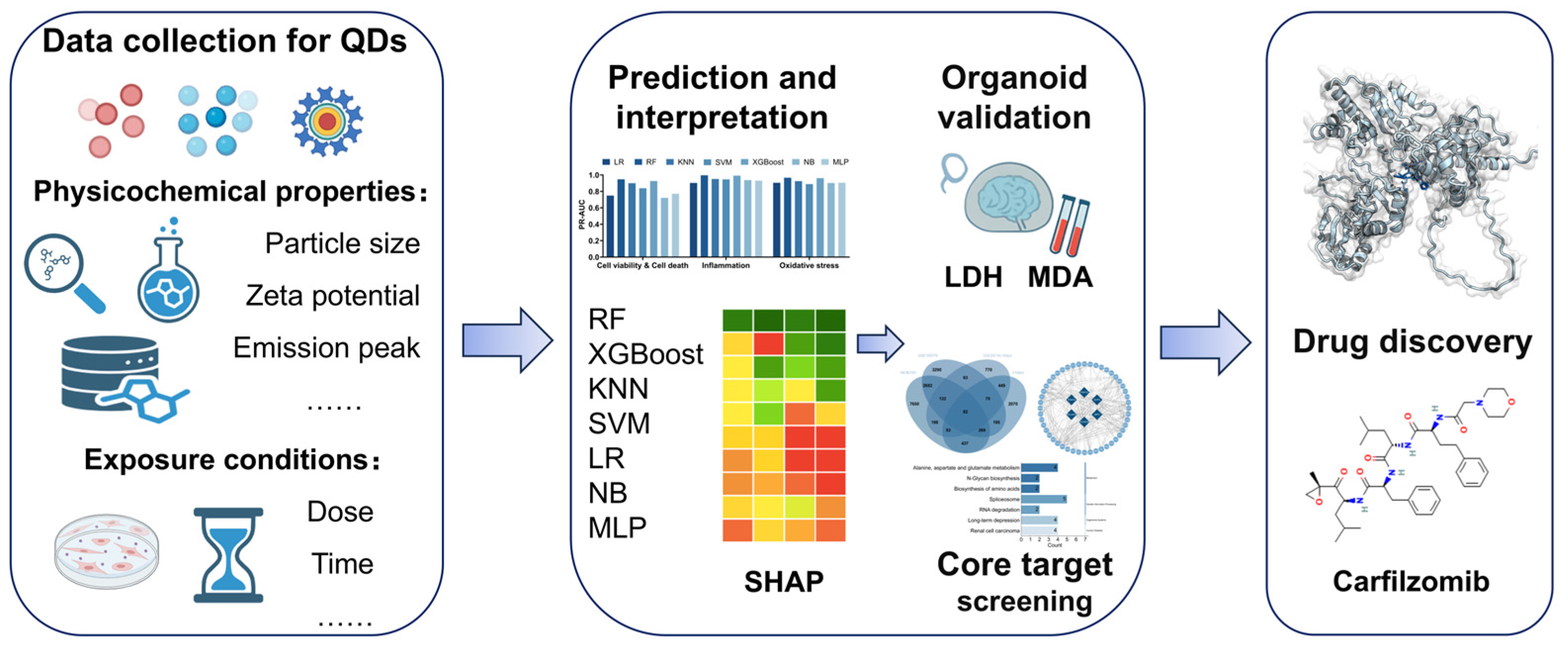 Toxics 13 00967 g001