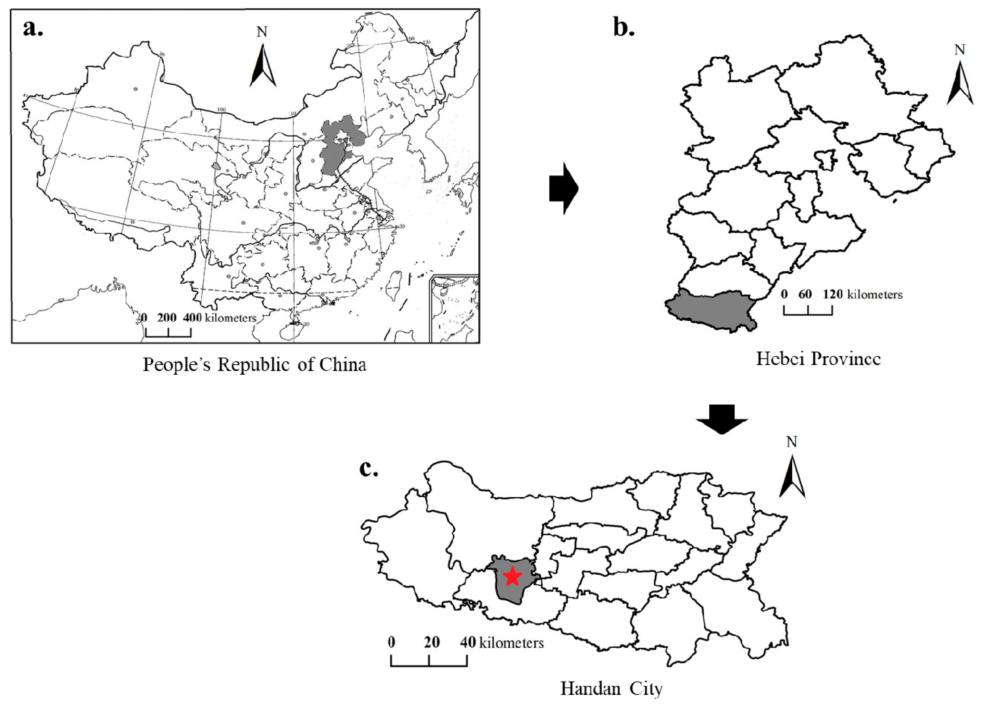 Toxics 13 00969 g001