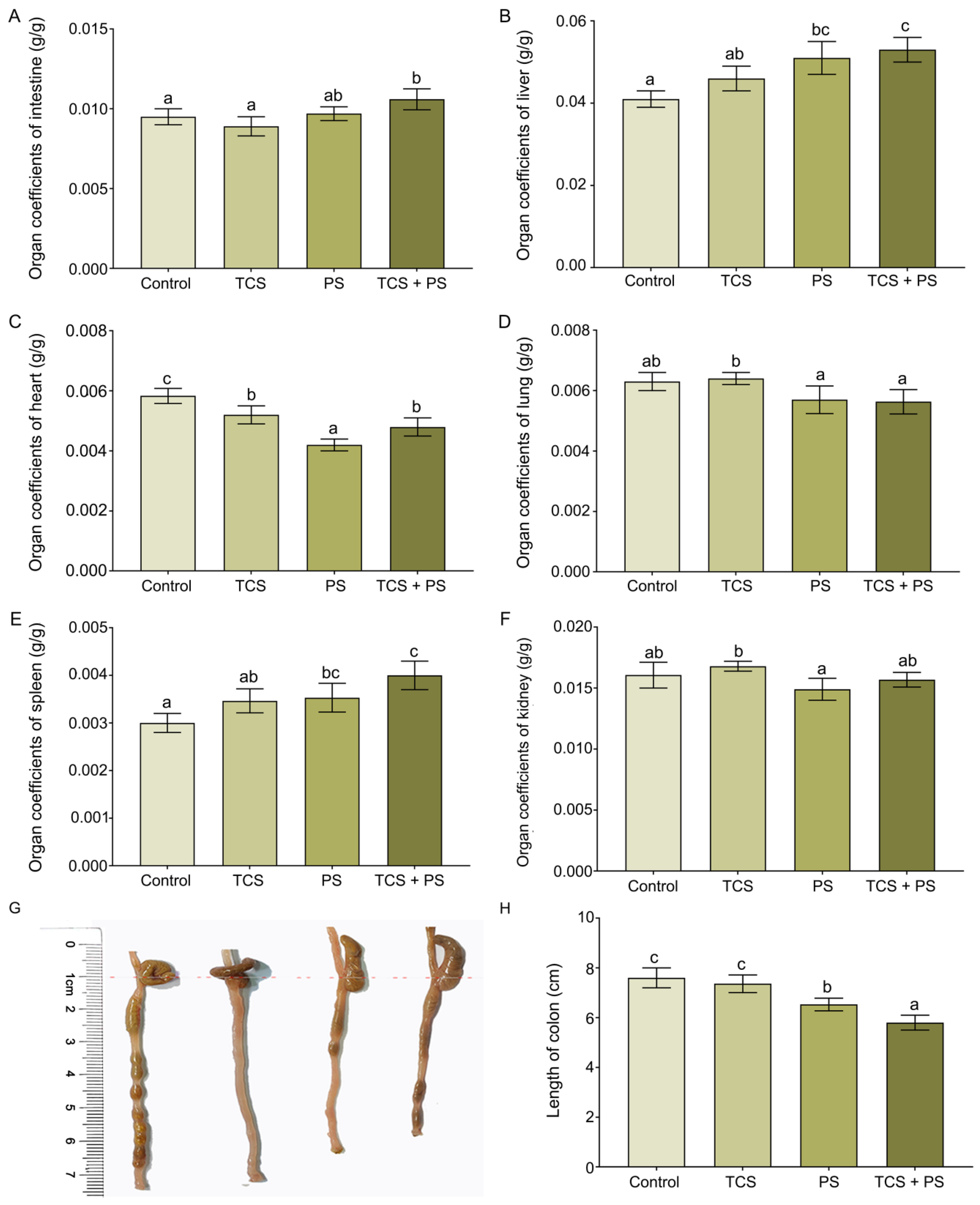 Toxics 13 00977 g001