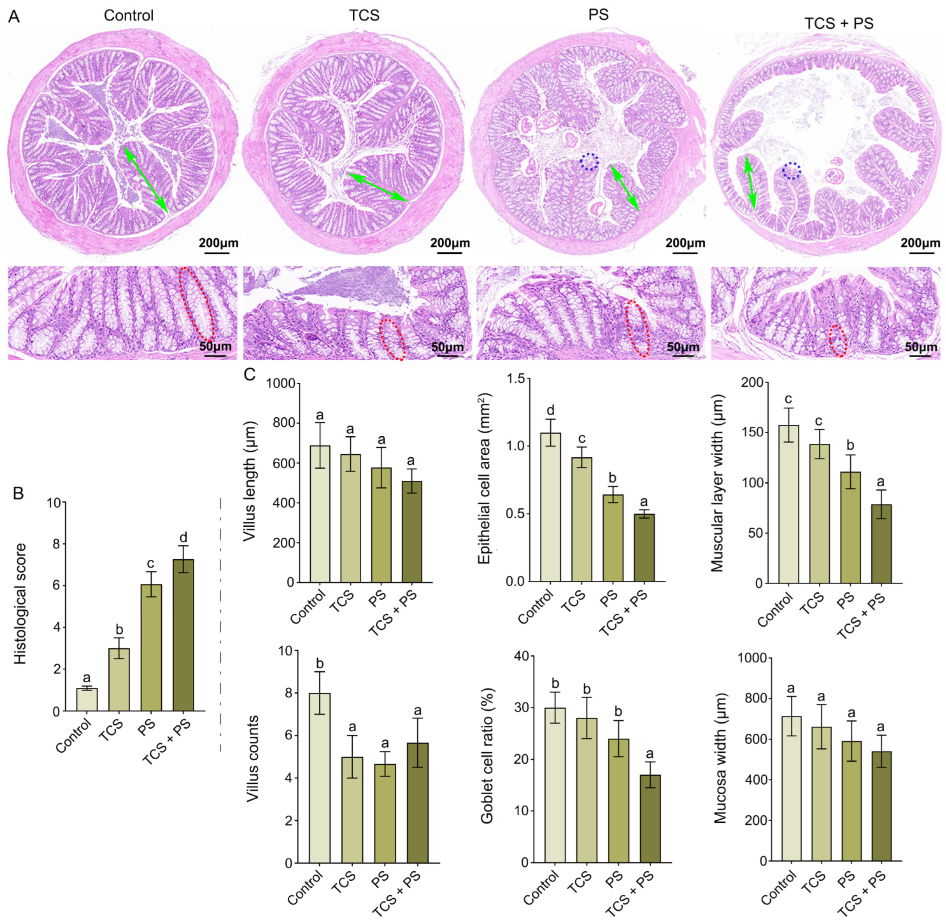 Toxics 13 00977 g002
