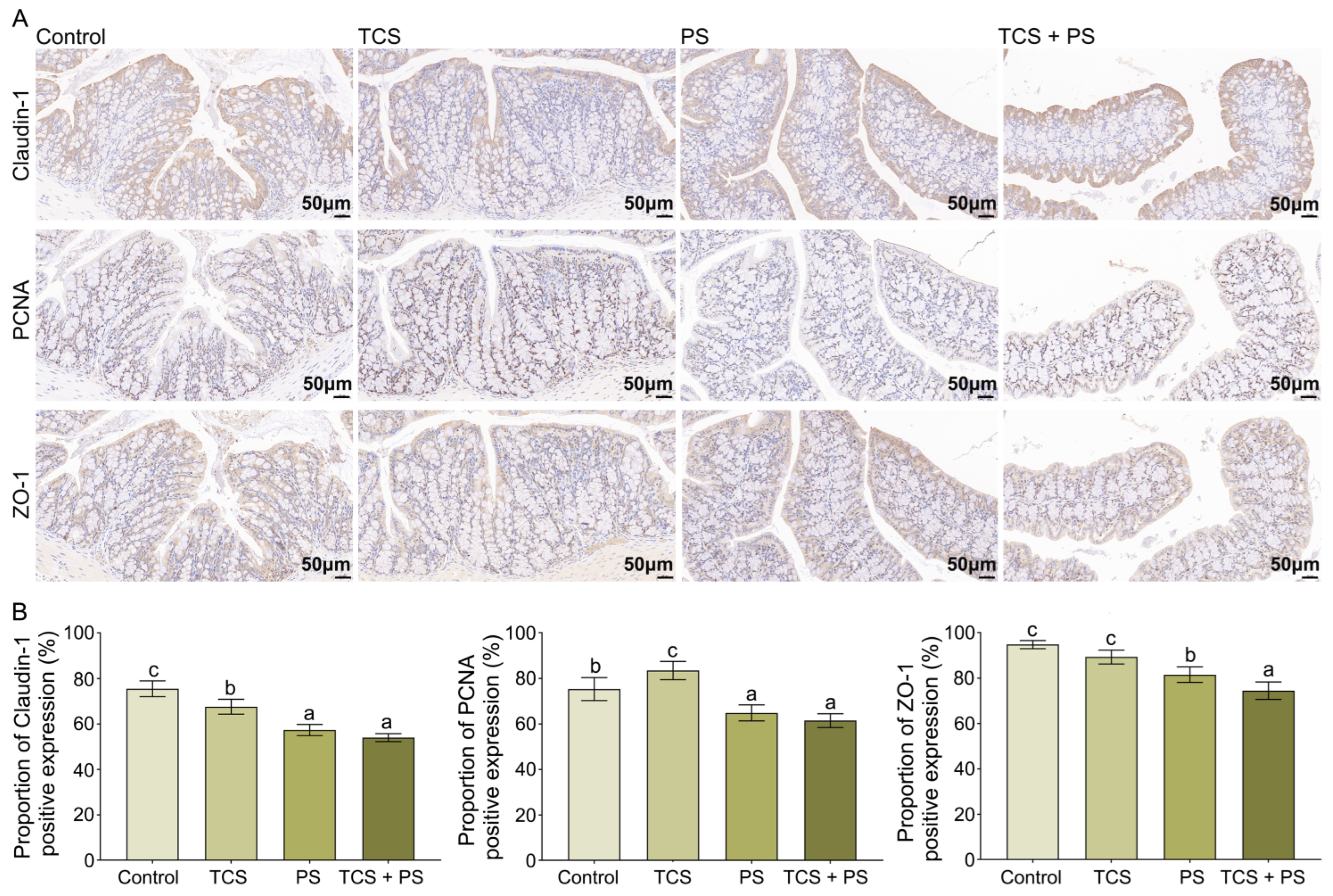 Toxics 13 00977 g003