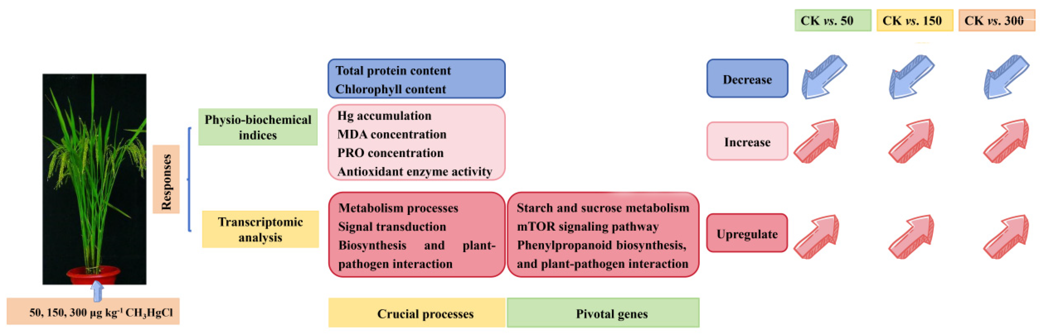 Toxics 13 00989 g007