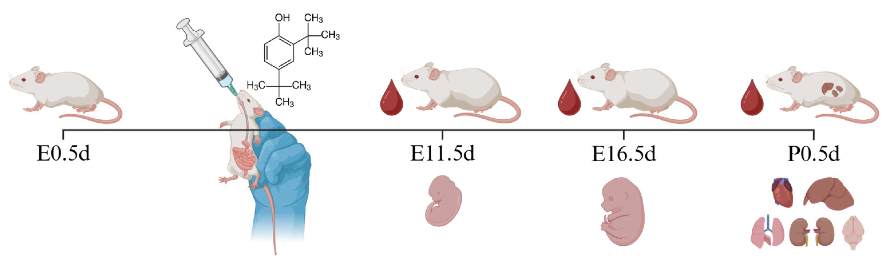 Toxics 13 00991 g001