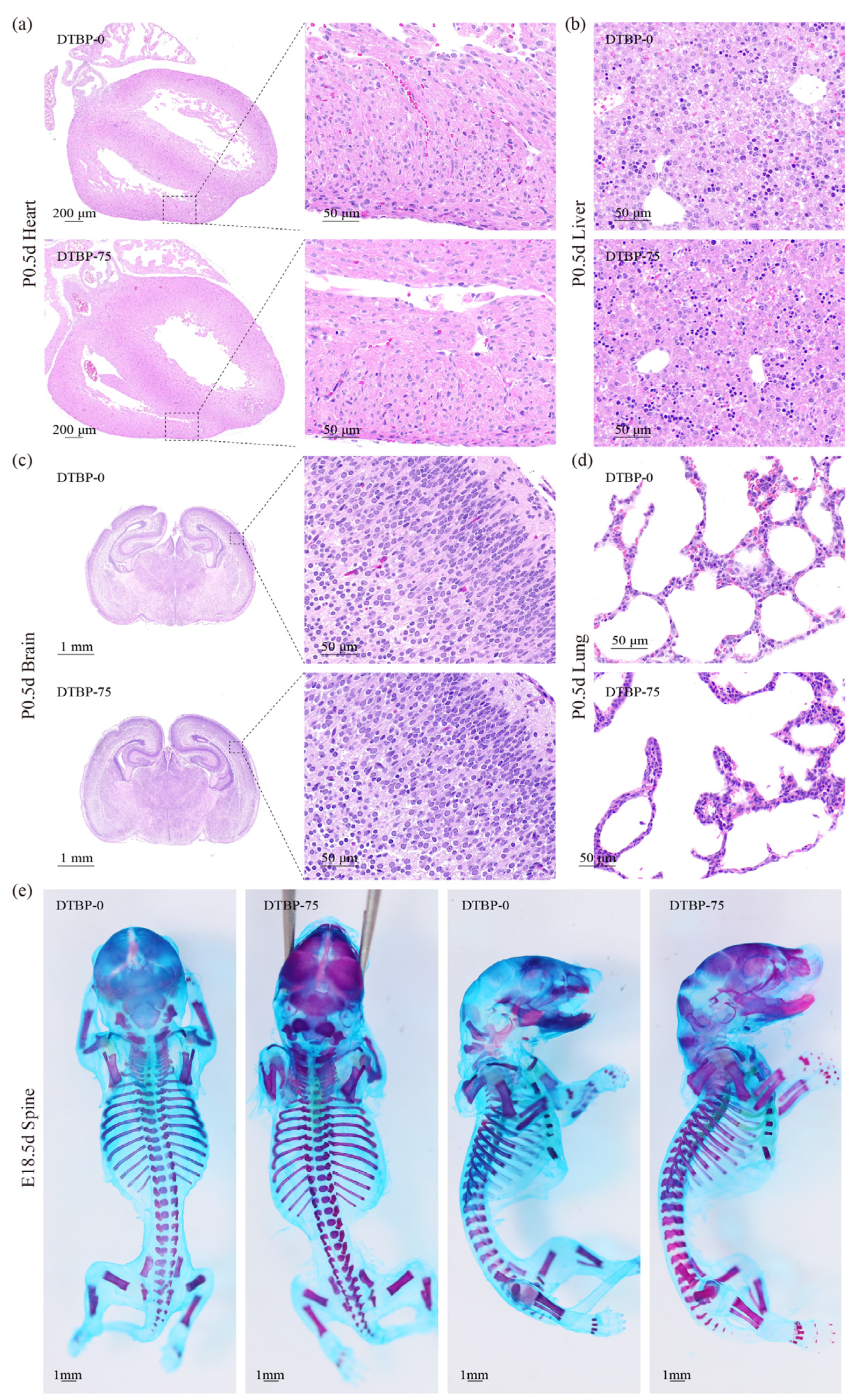 Toxics 13 00991 g006