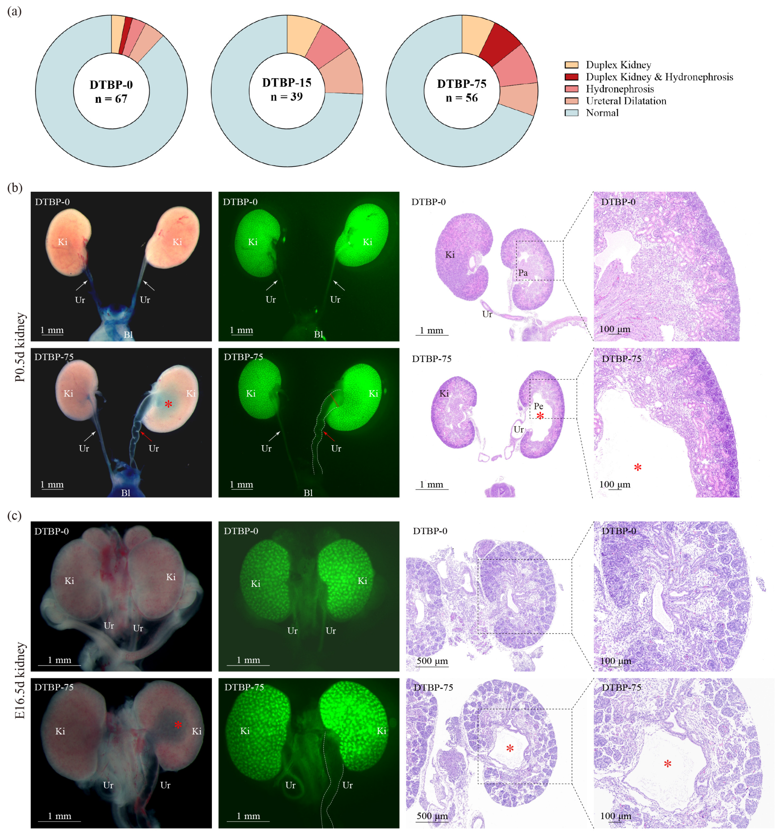 Toxics 13 00991 g007