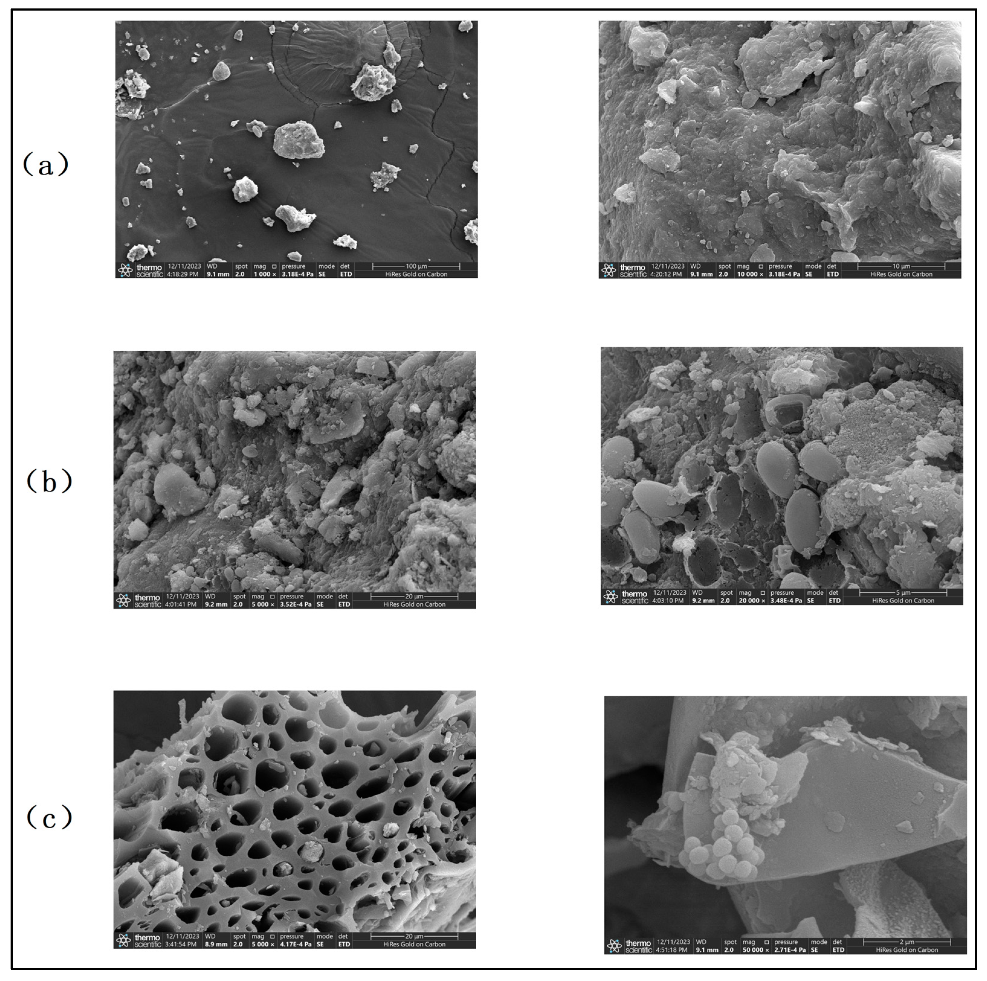 Toxics 13 00997 g012