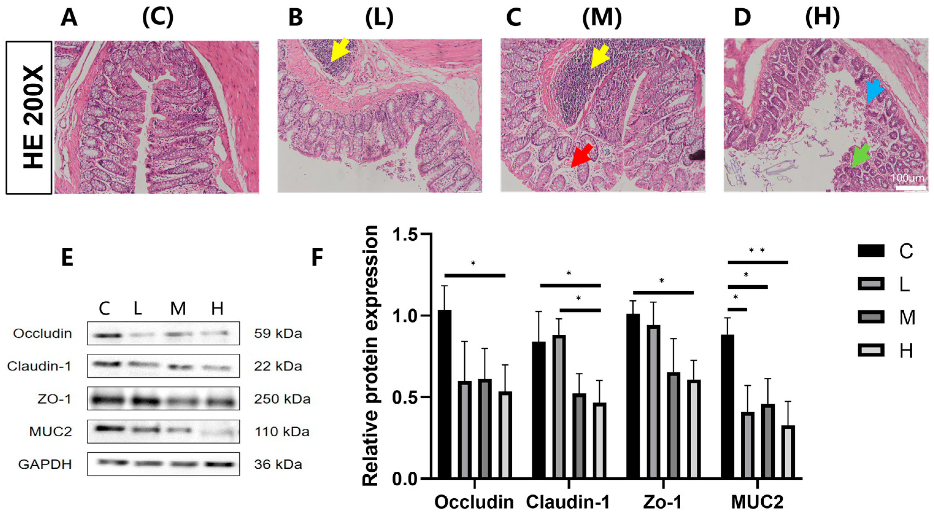 Toxics 13 01017 g001 Toxics 13 01017 g001