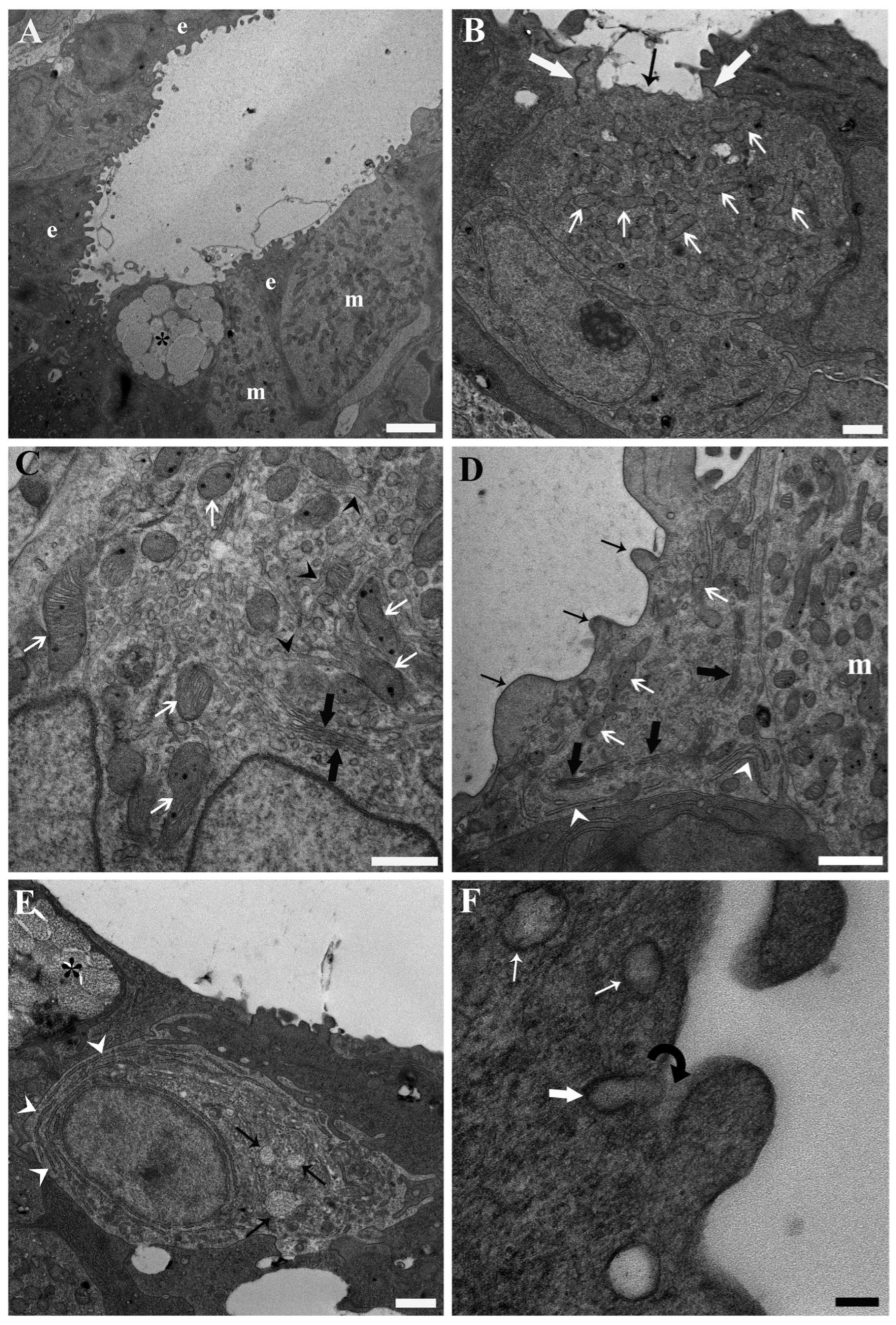 Toxics 13 01020 g001