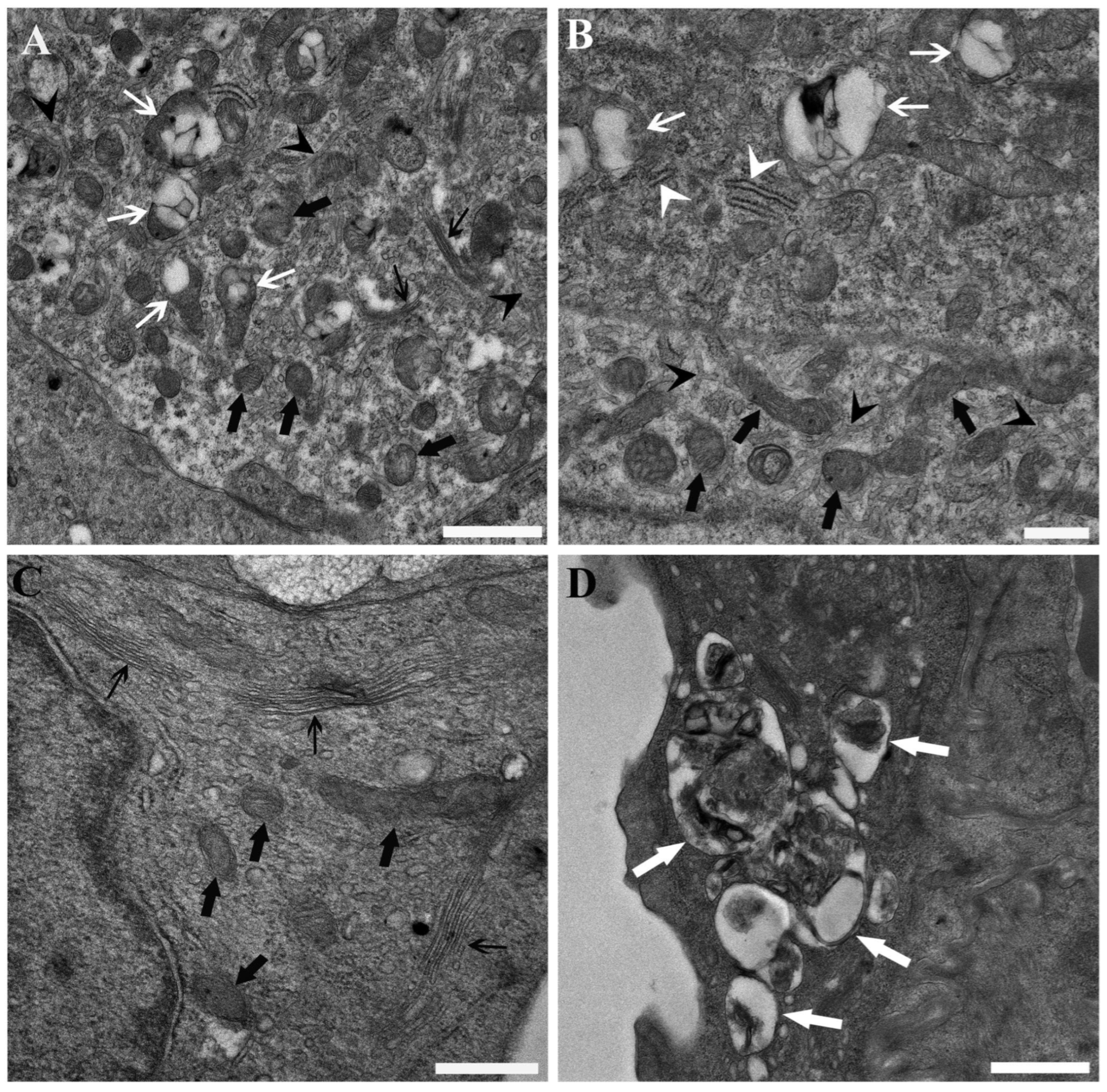 Toxics 13 01020 g002