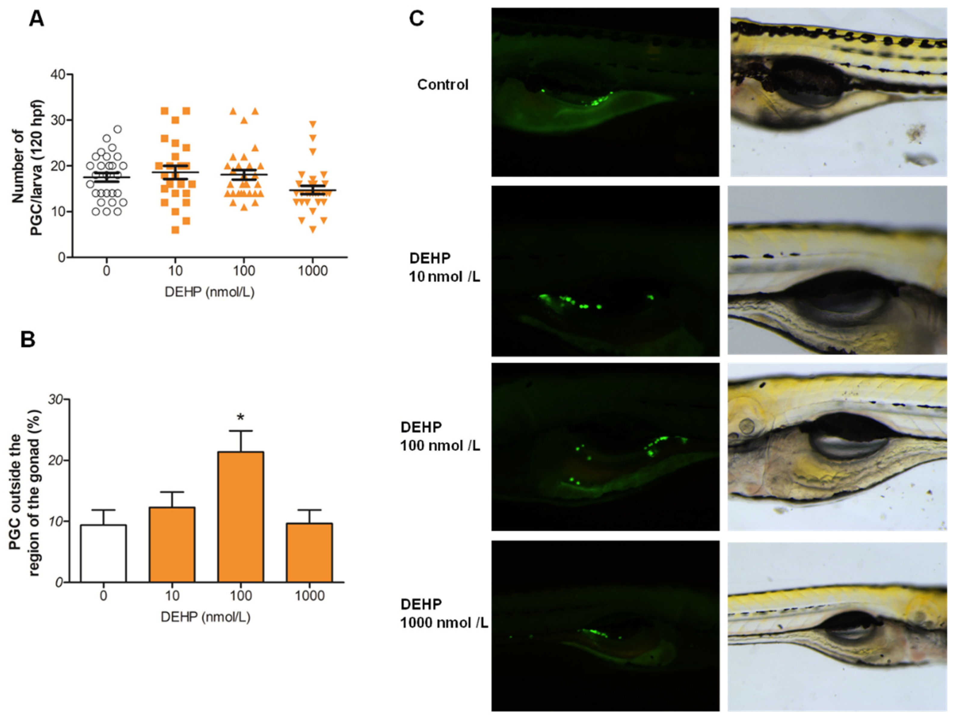 Toxics 13 01032 g002