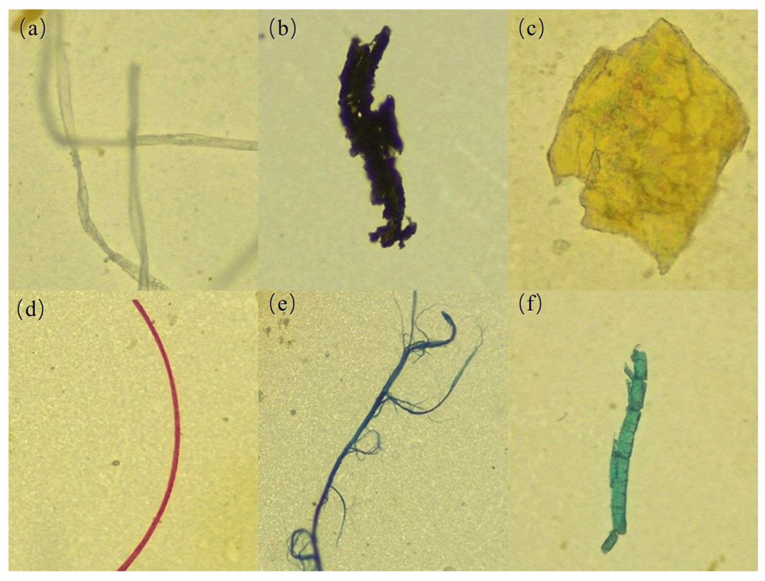 Toxics 13 01033 g003