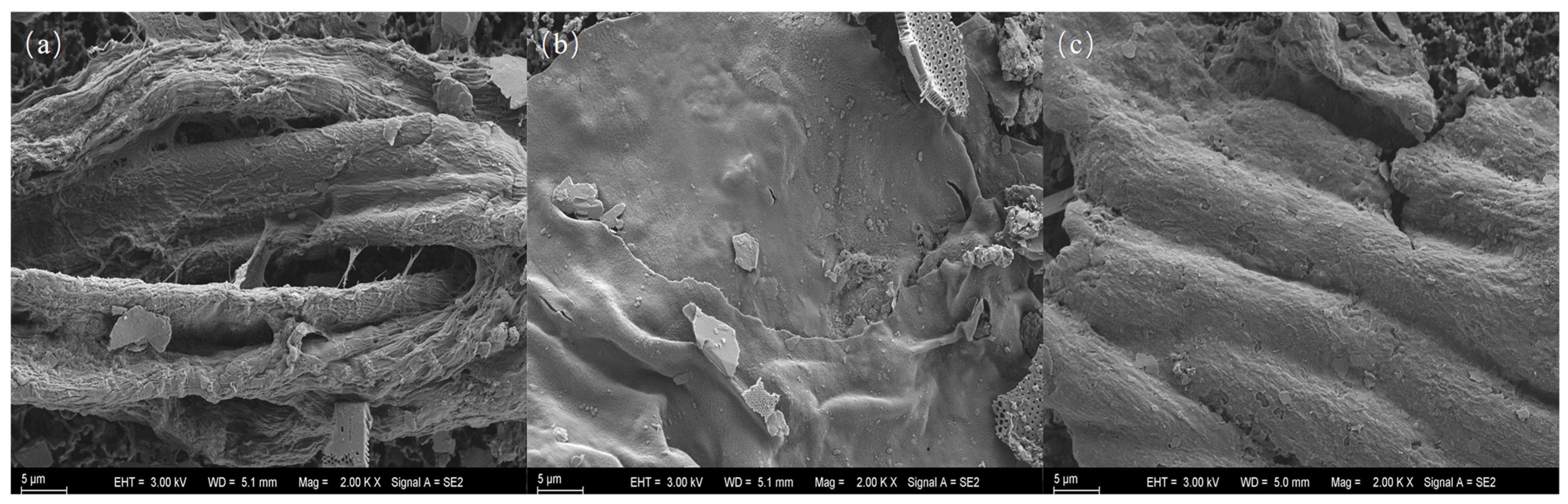 Toxics 13 01033 g004