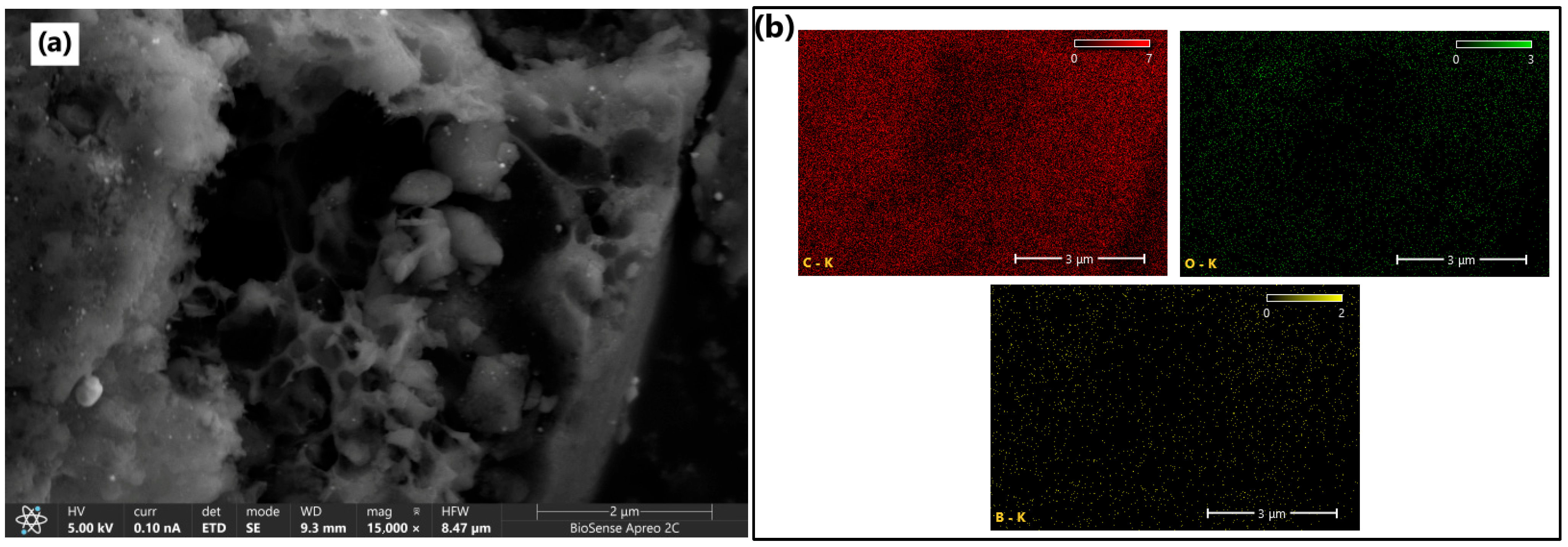 Toxics 13 01035 g003