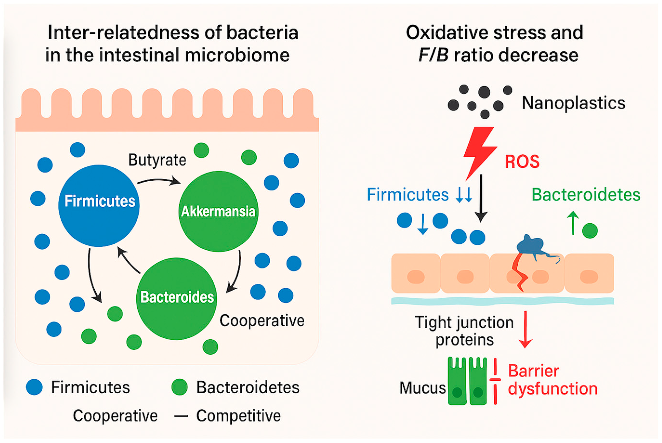 Toxics 13 01036 g001