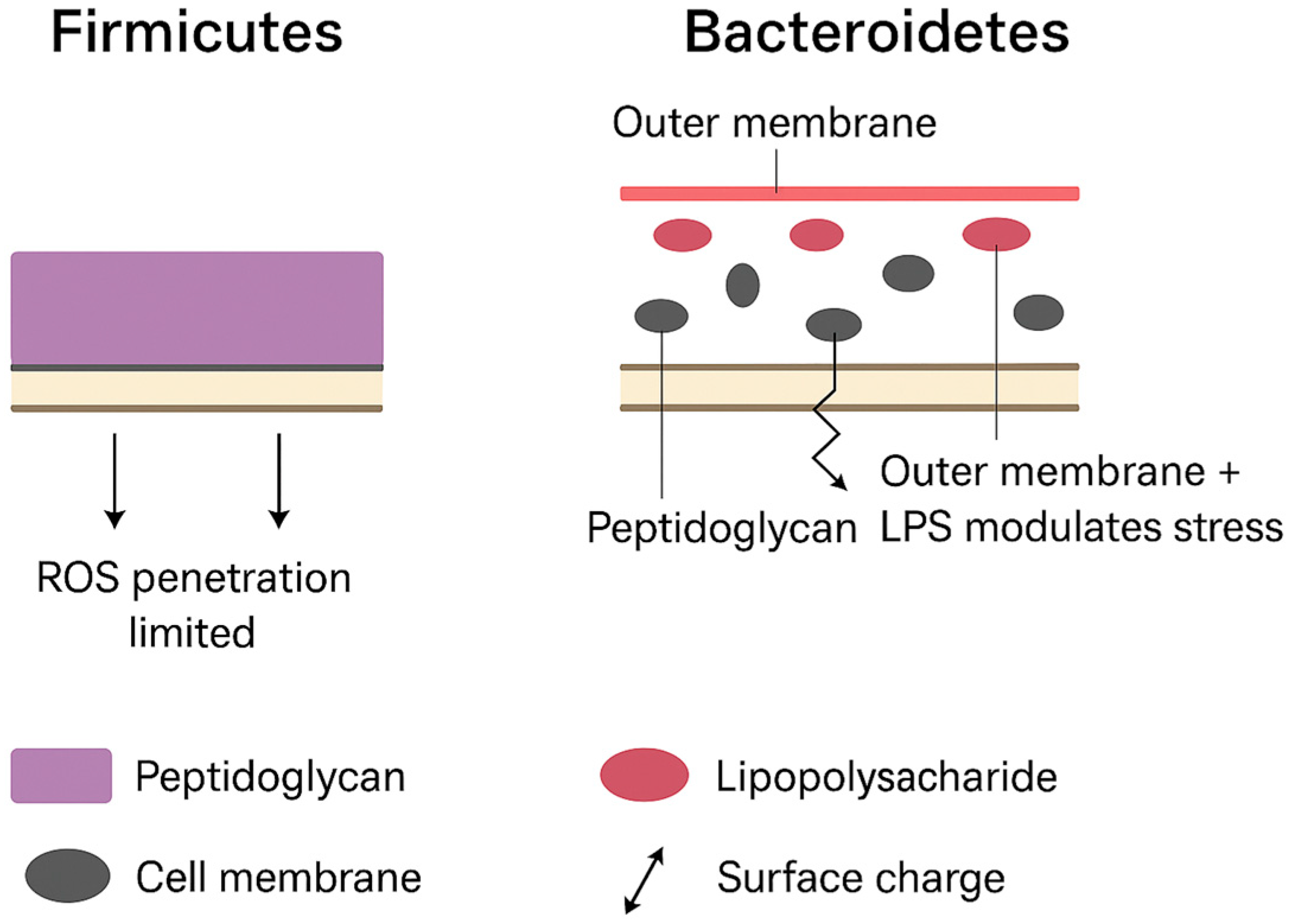 Toxics 13 01036 g002