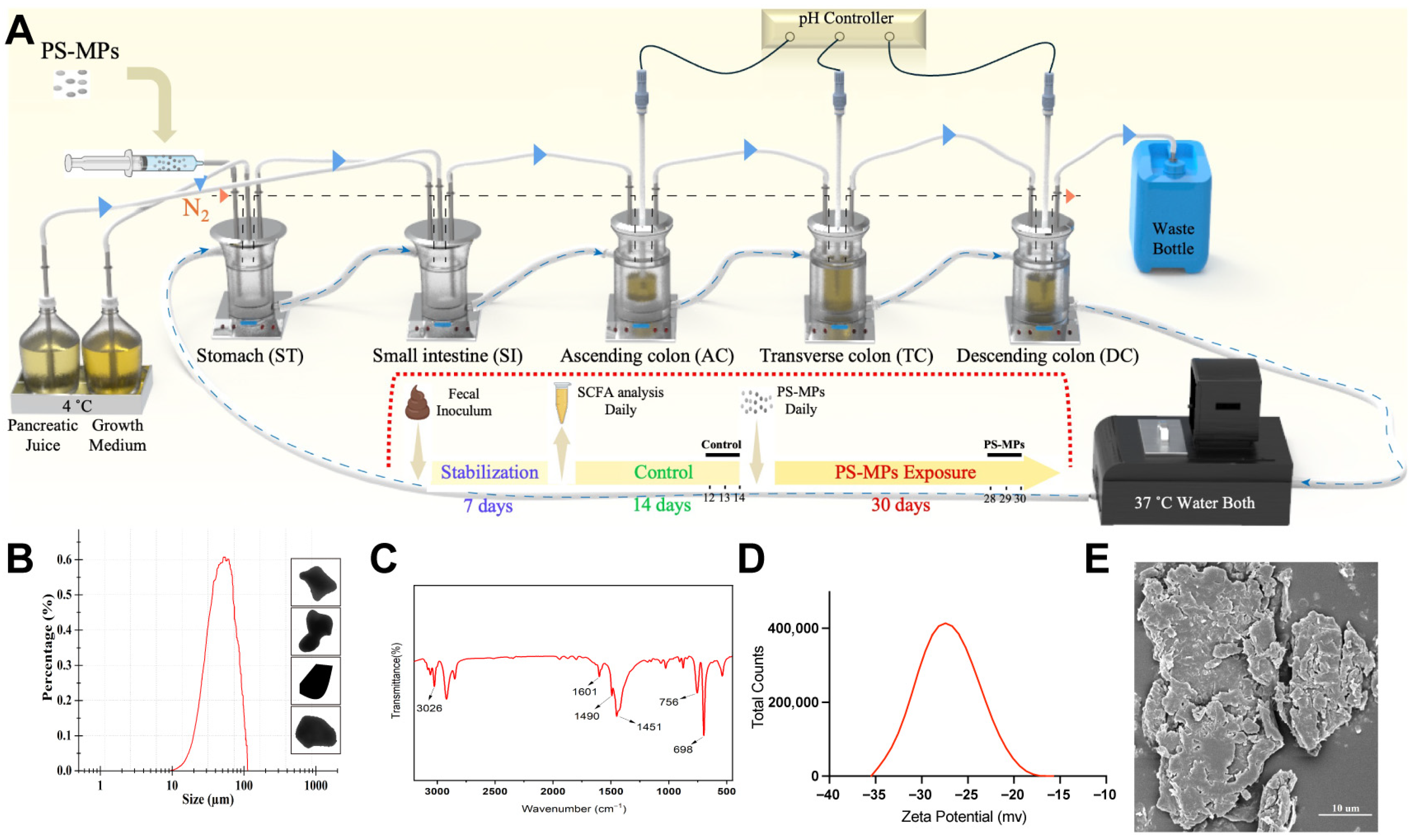 Toxics 13 01045 g001