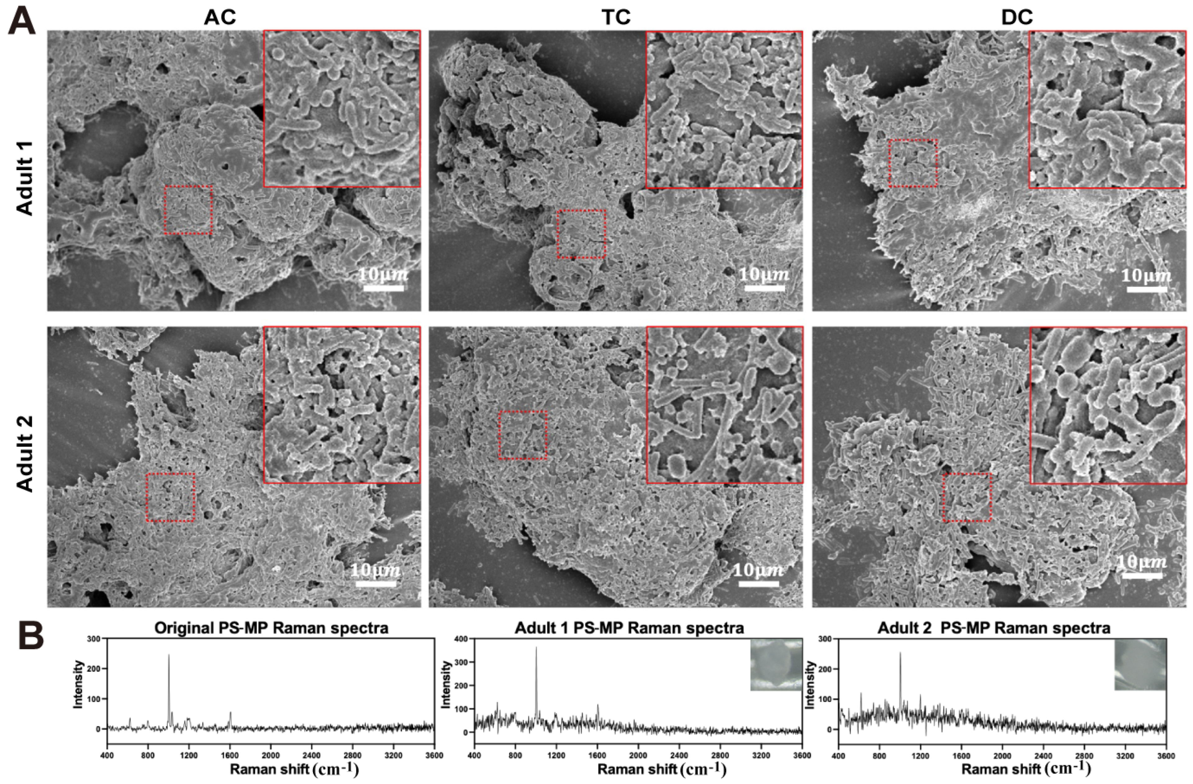 Toxics 13 01045 g004