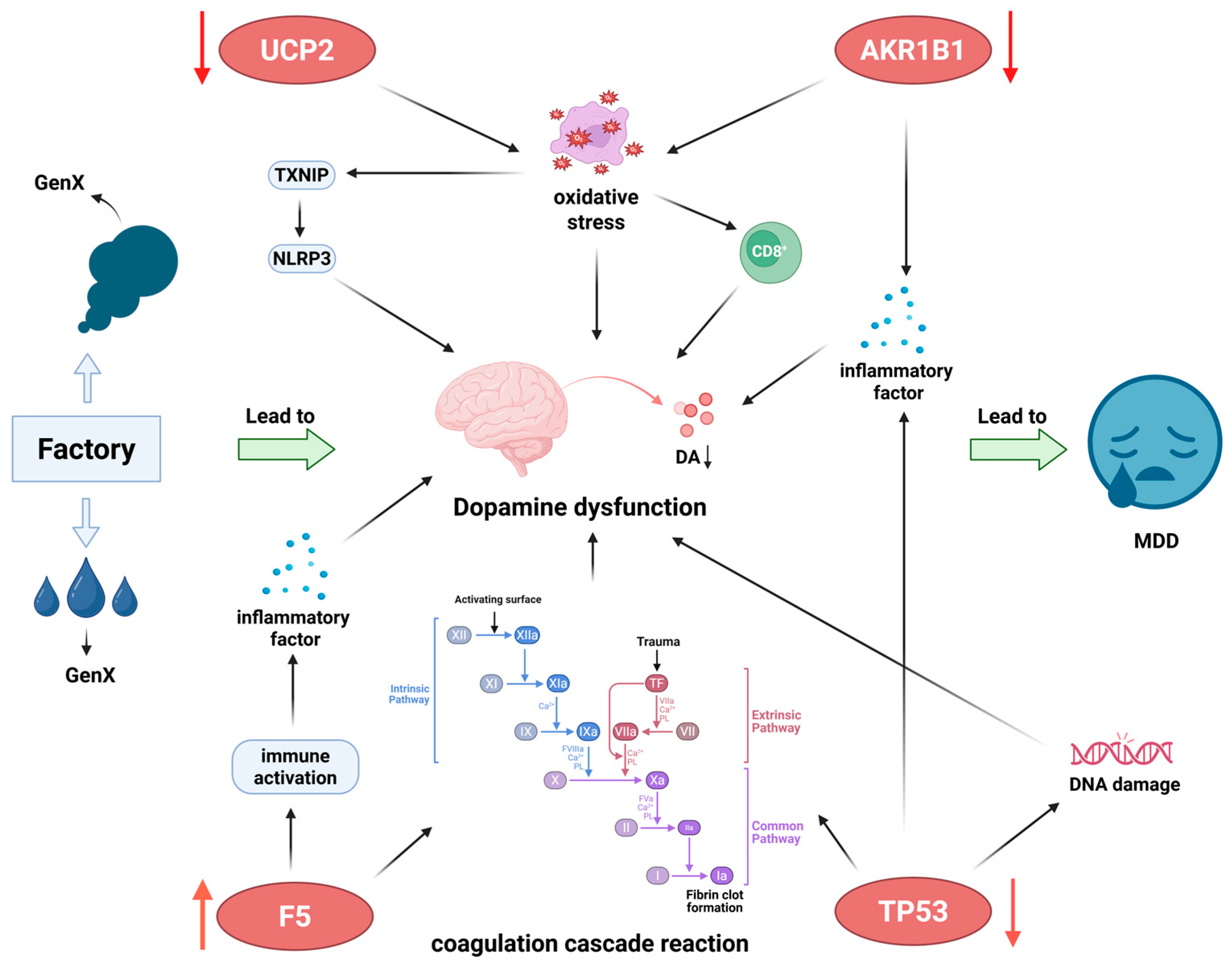 Toxics 13 01046 g008