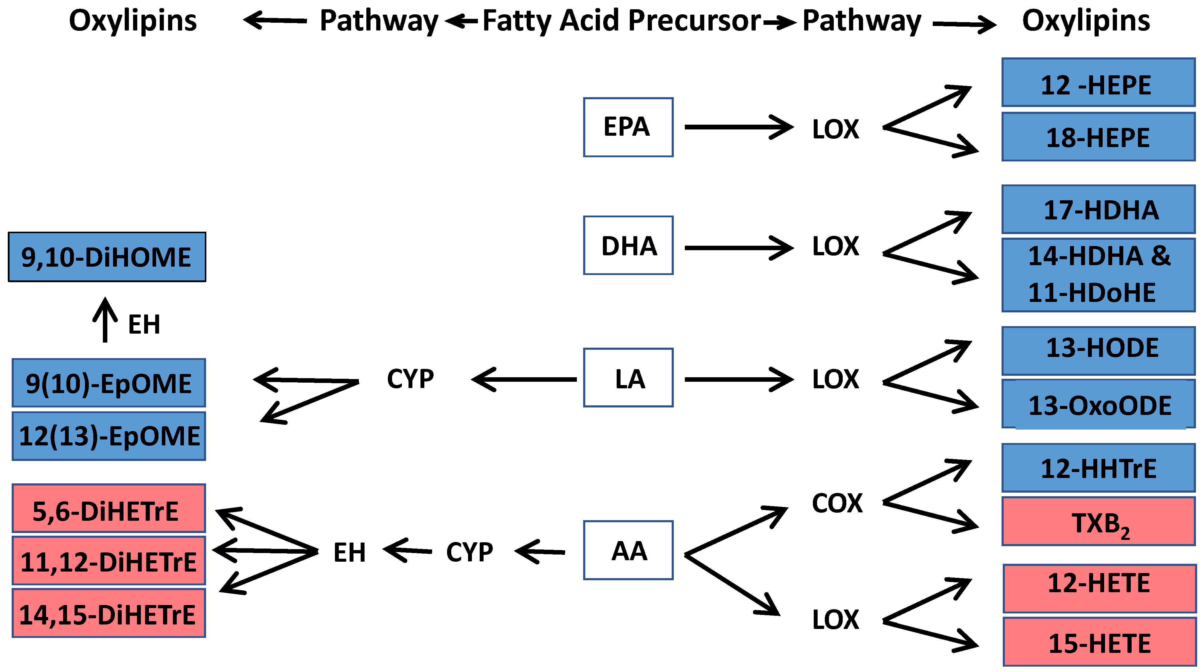 Toxics 13 01063 g002 Toxics 13 01063 g002