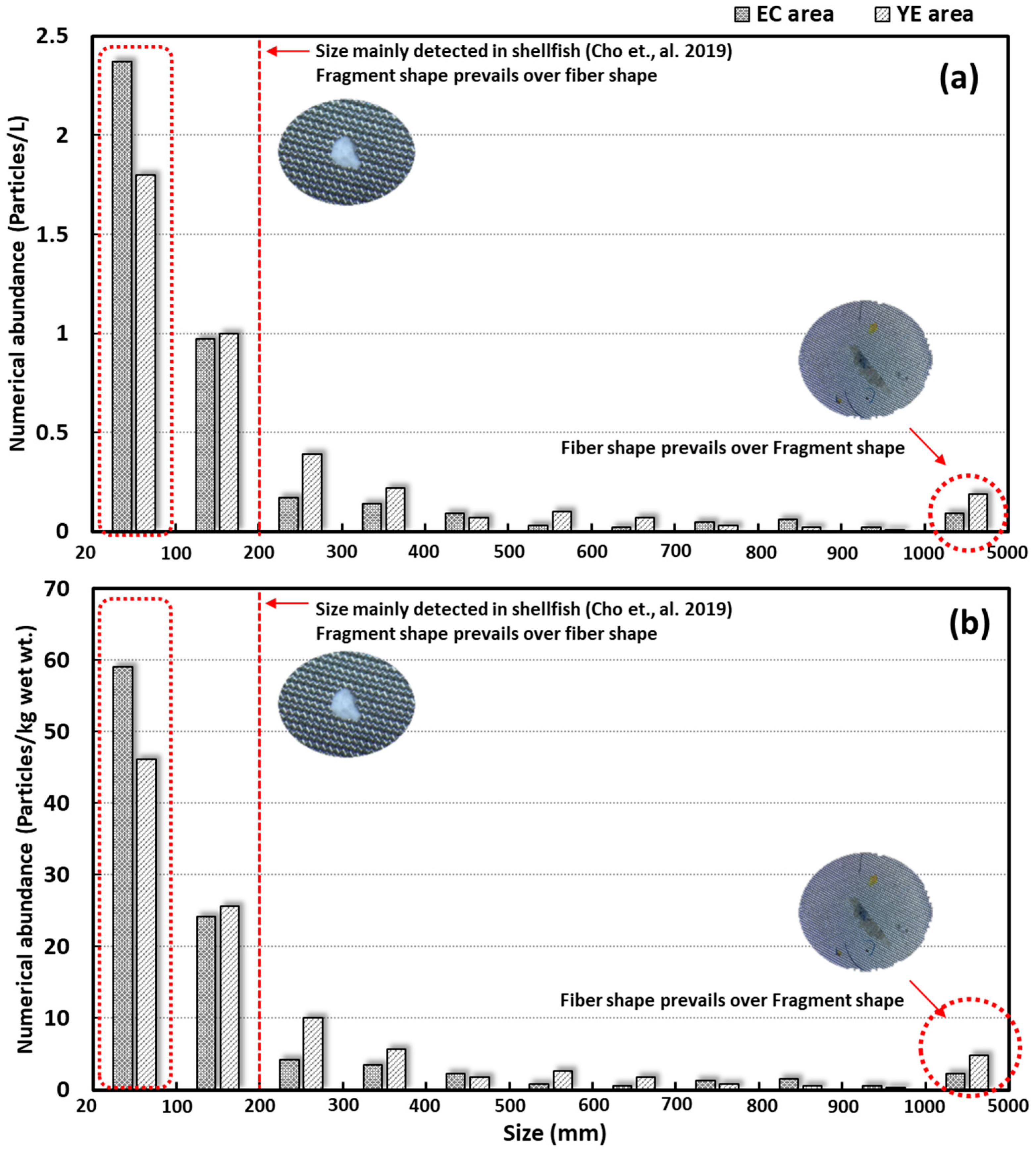 Toxics 13 01070 g005 Toxics 13 01070 g005