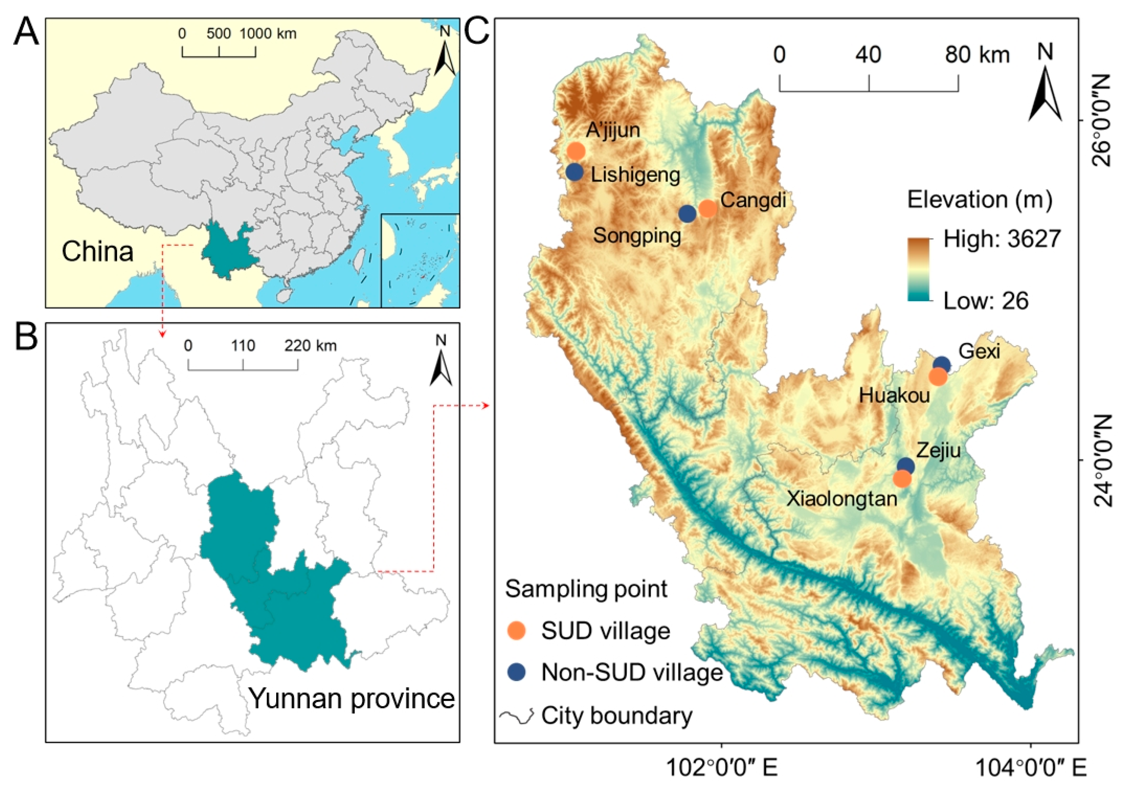 Toxics 13 01078 g001