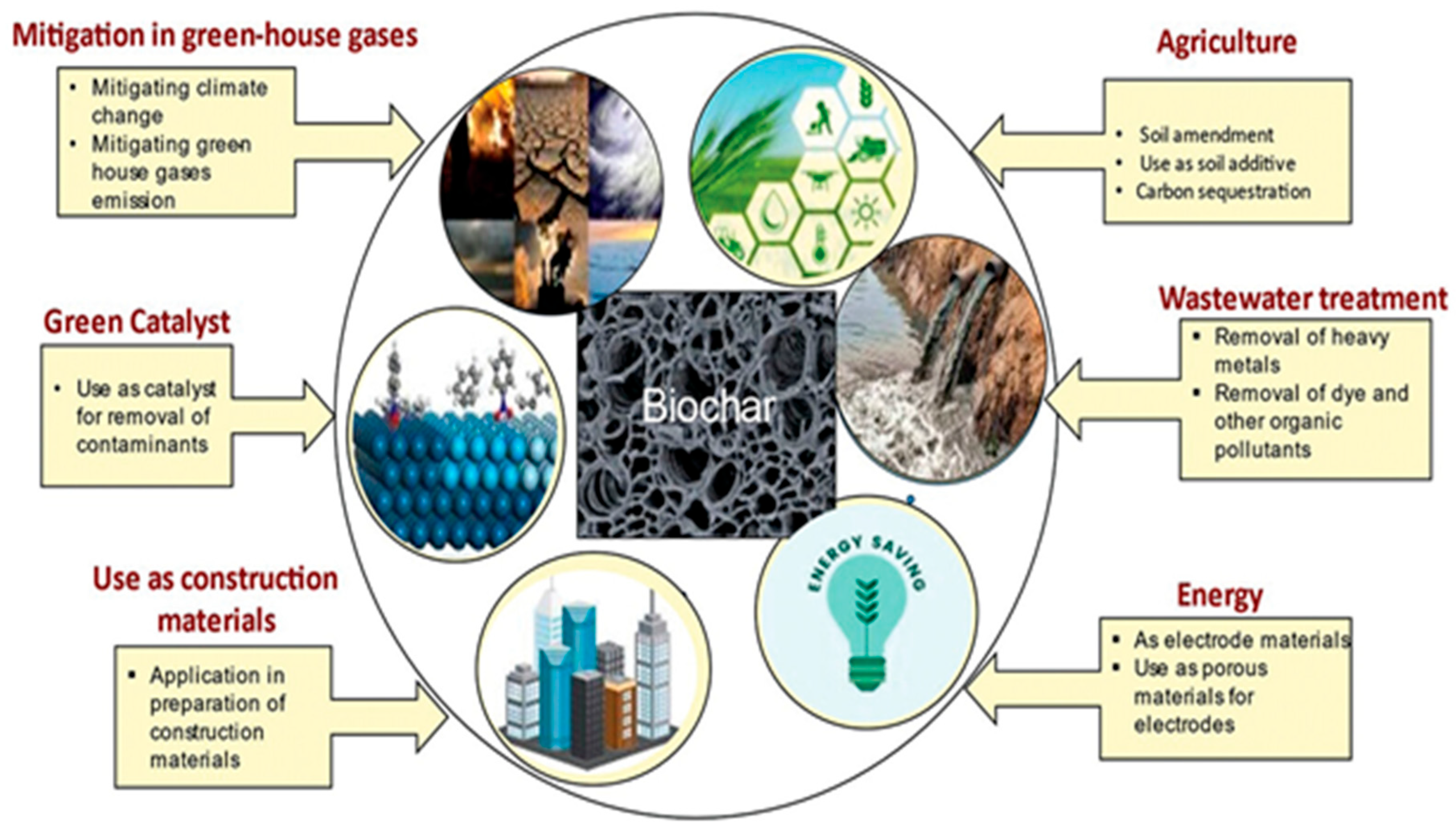 Toxics 13 01079 g012