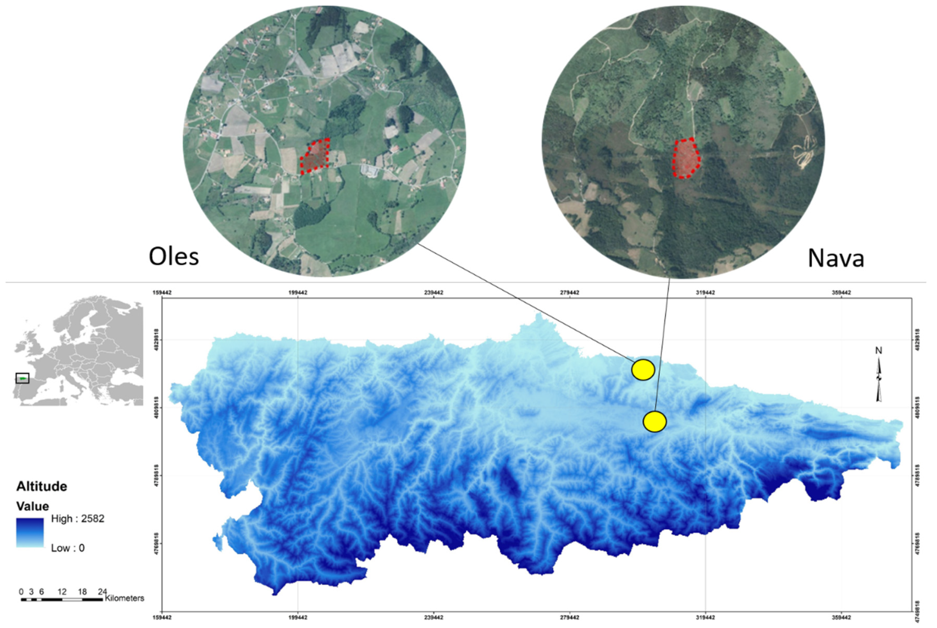 Toxics 13 01083 g001