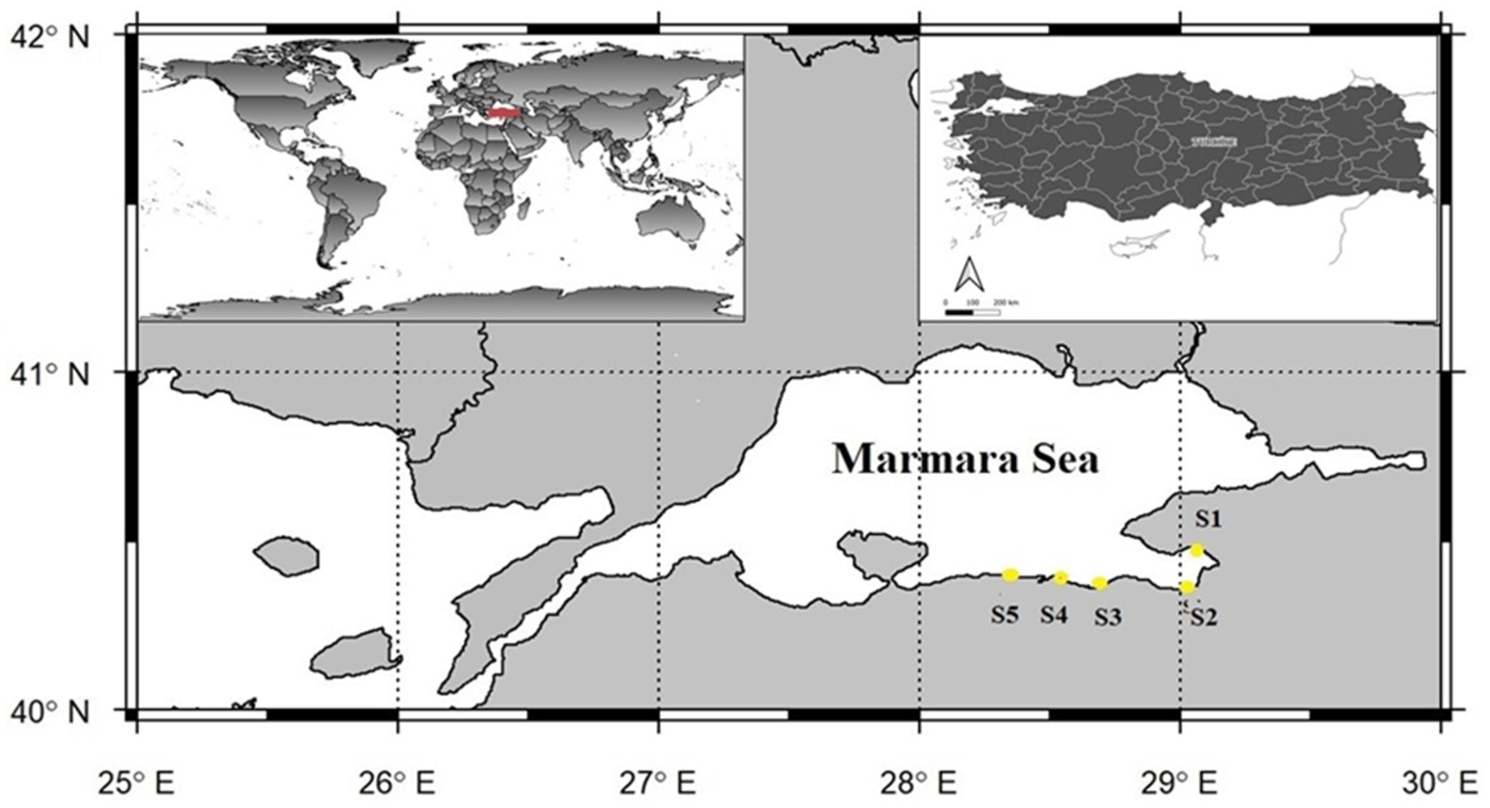 Toxics 13 01084 g001