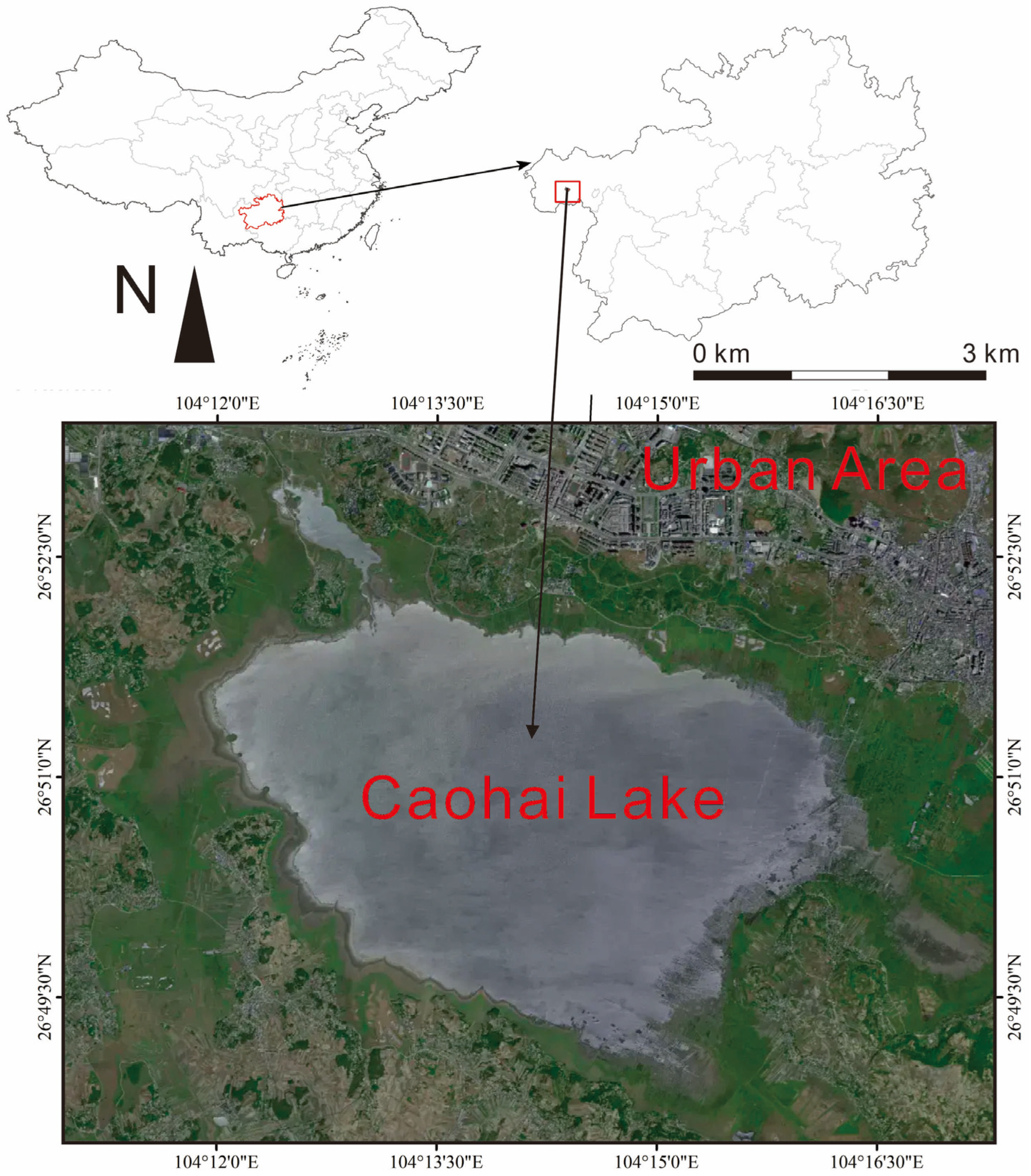 Toxics 13 01086 g001 Toxics 13 01086 g001