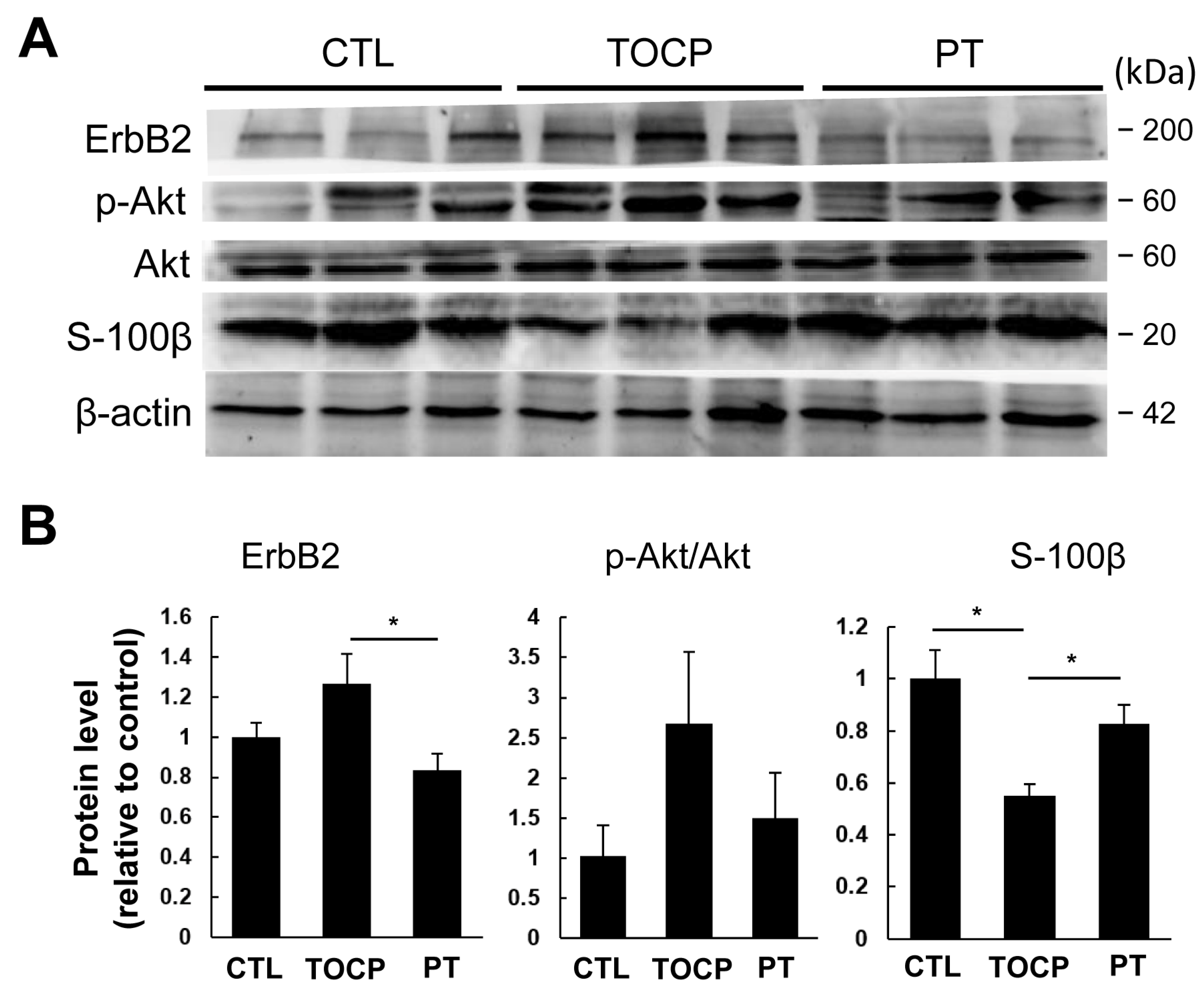 Toxics 14 00007 g004