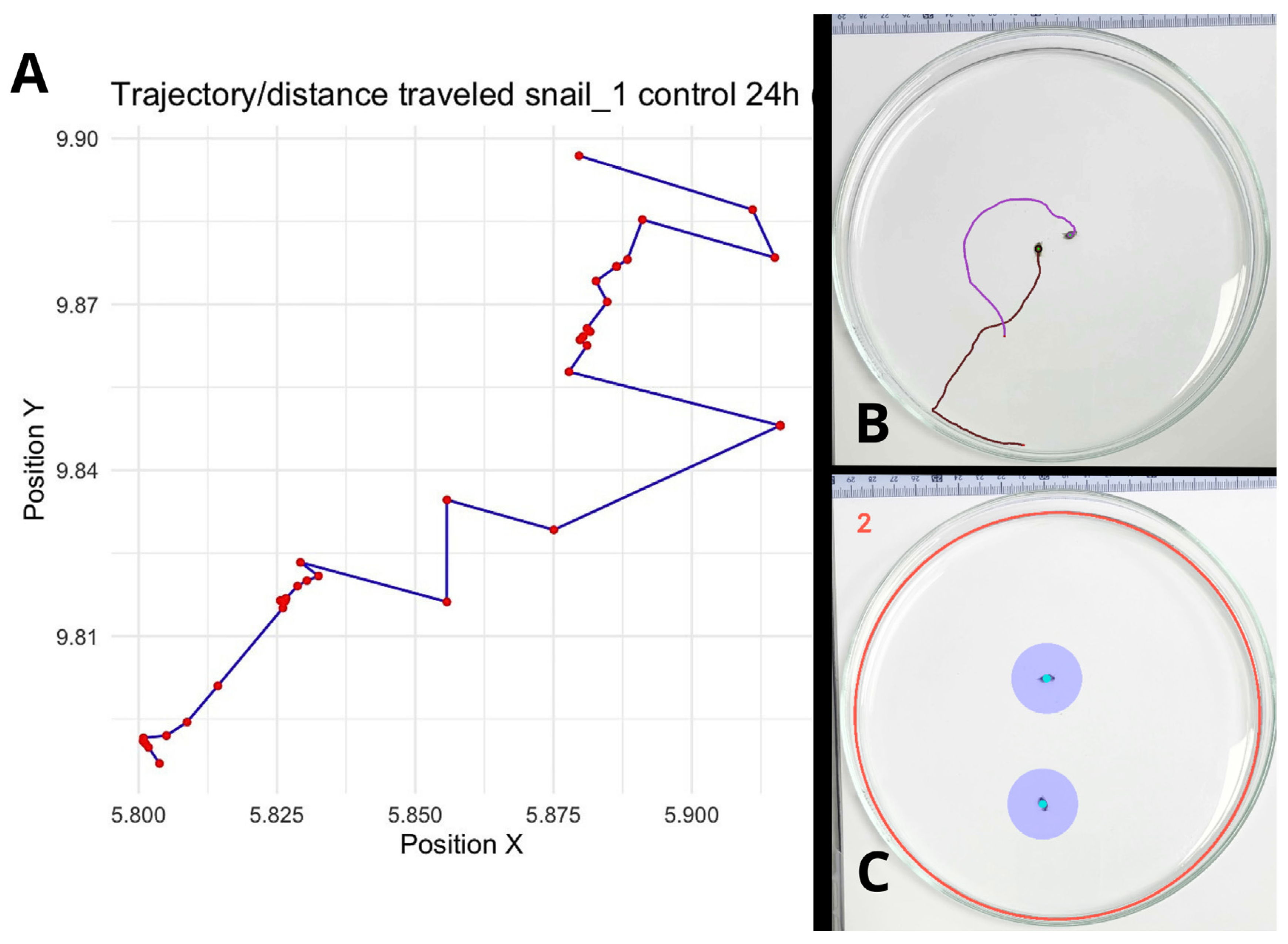 Toxics 14 00014 g001