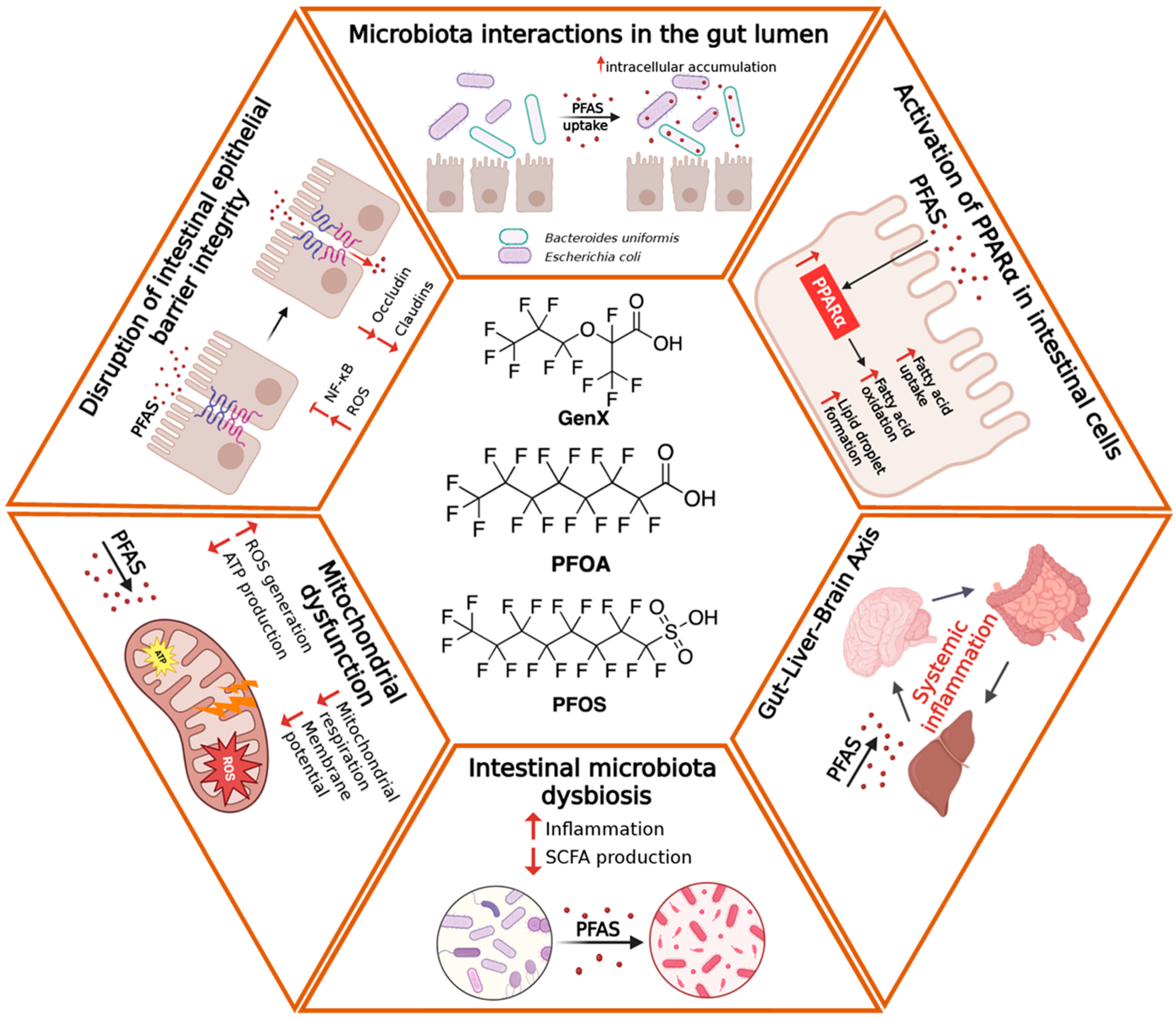 Toxics 14 00039 g001
