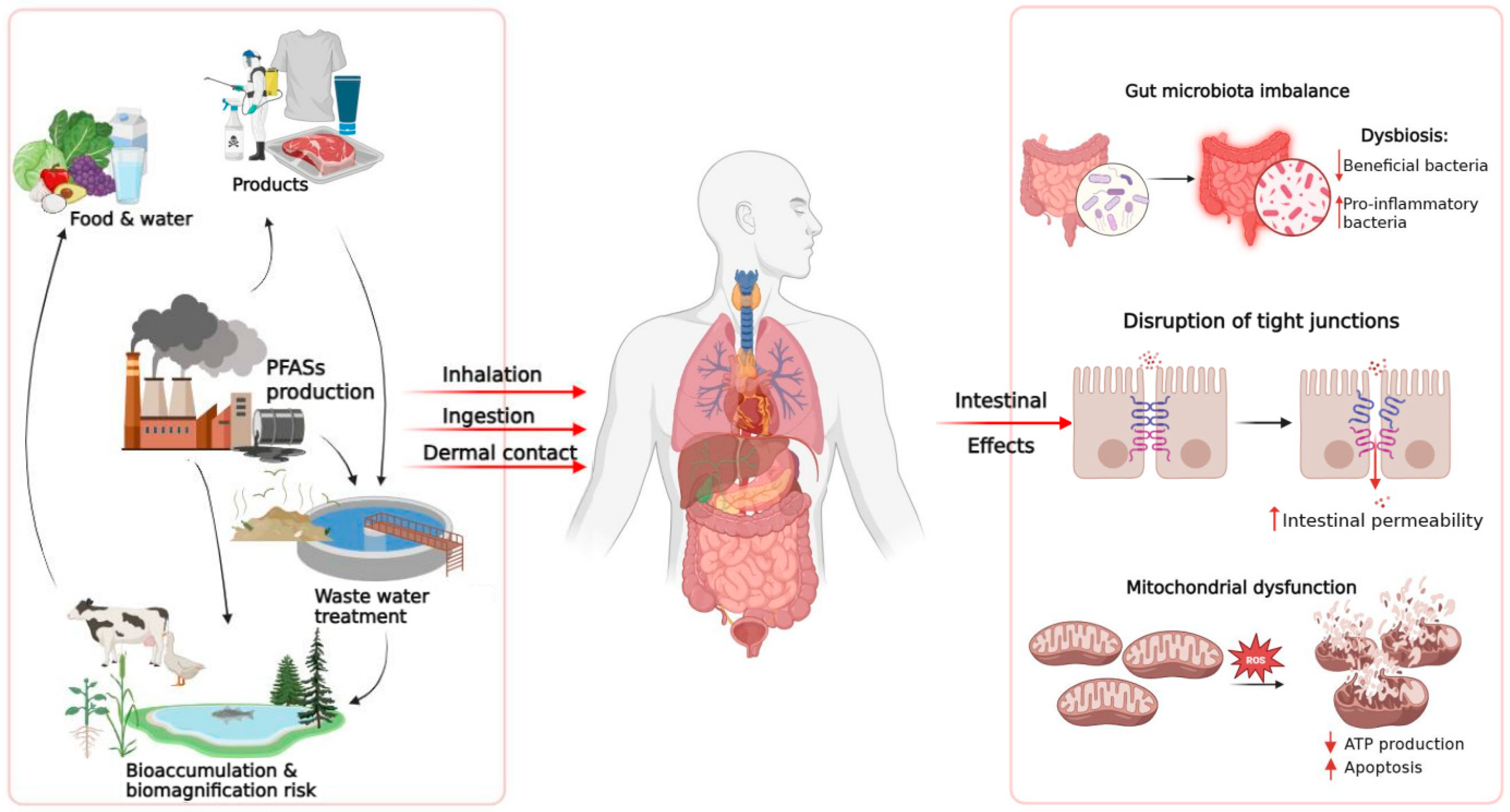 Toxics 14 00039 g002