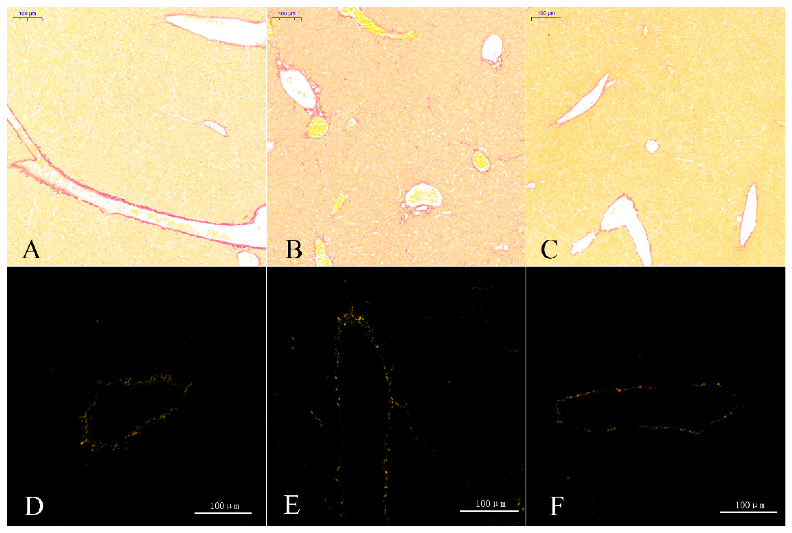 Toxics 14 00053 g007