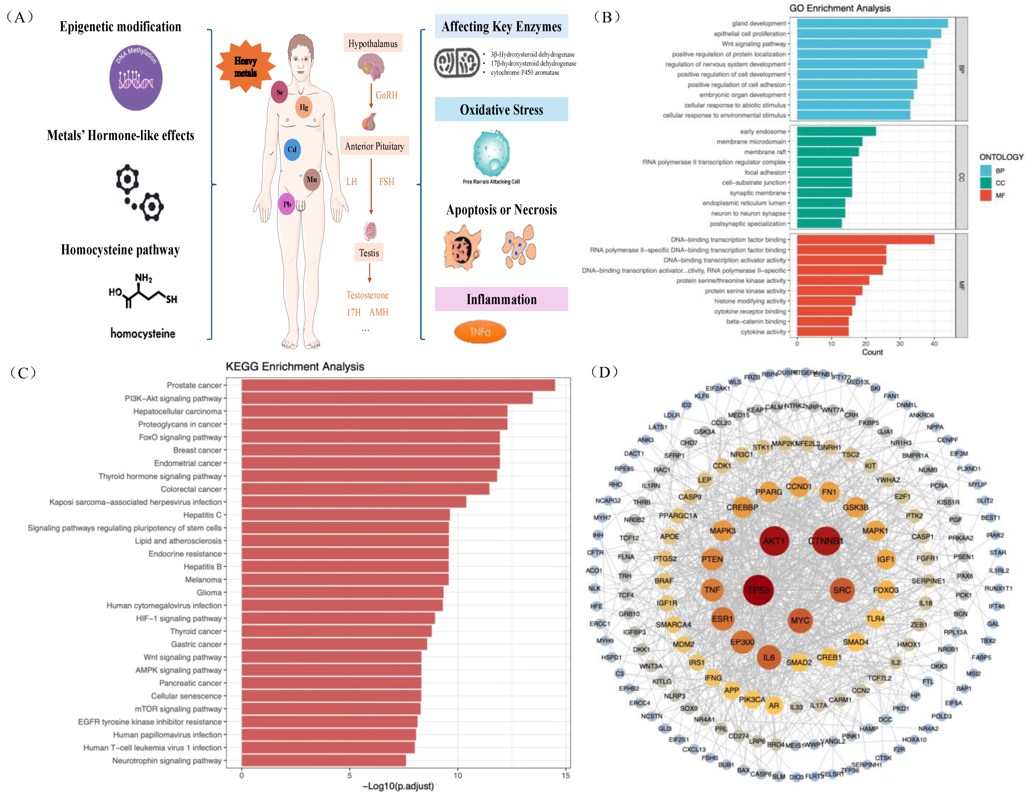 Toxics 14 00055 g005
