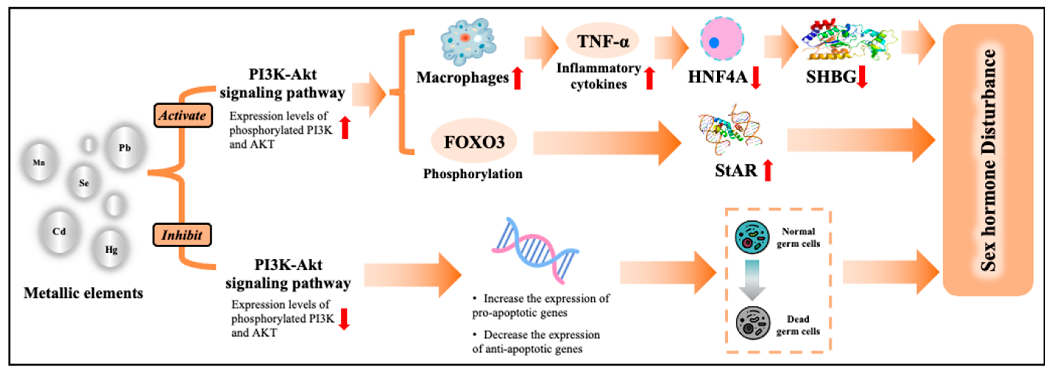 Toxics 14 00055 g006