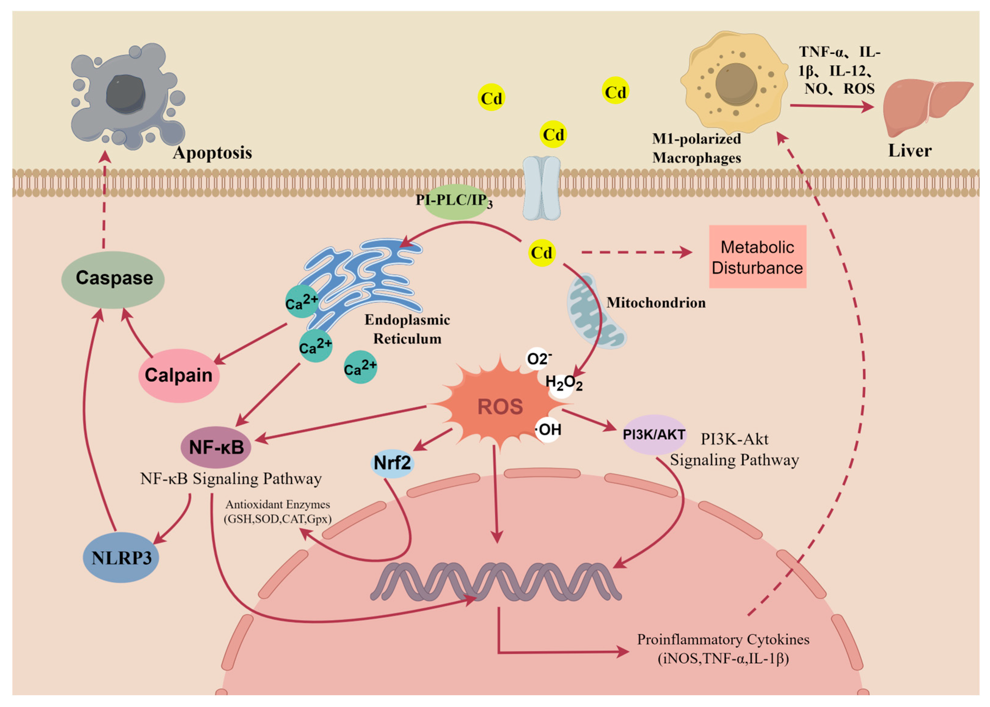Toxics 14 00057 g002