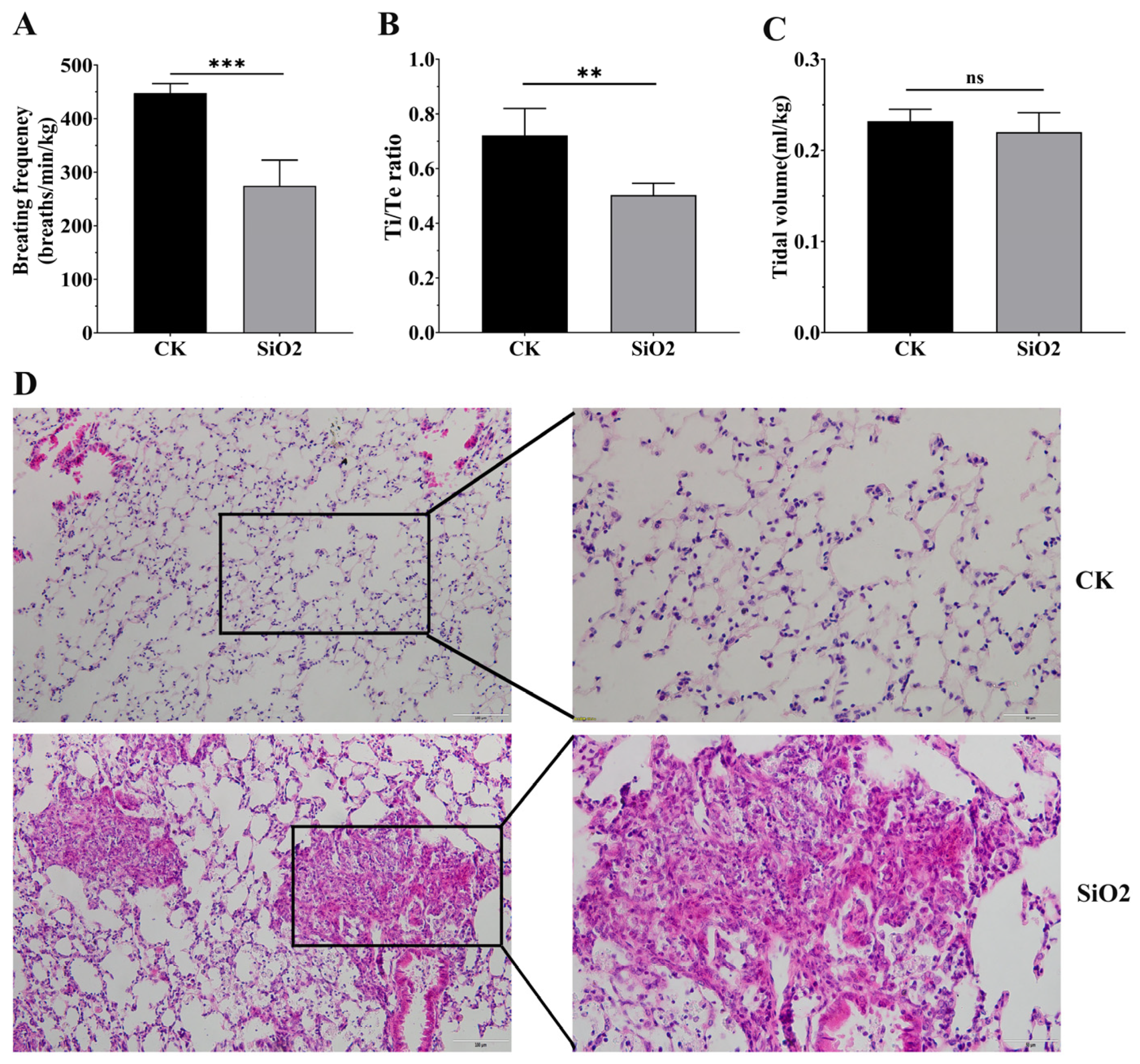 Toxics 14 00063 g001 Toxics 14 00063 g001