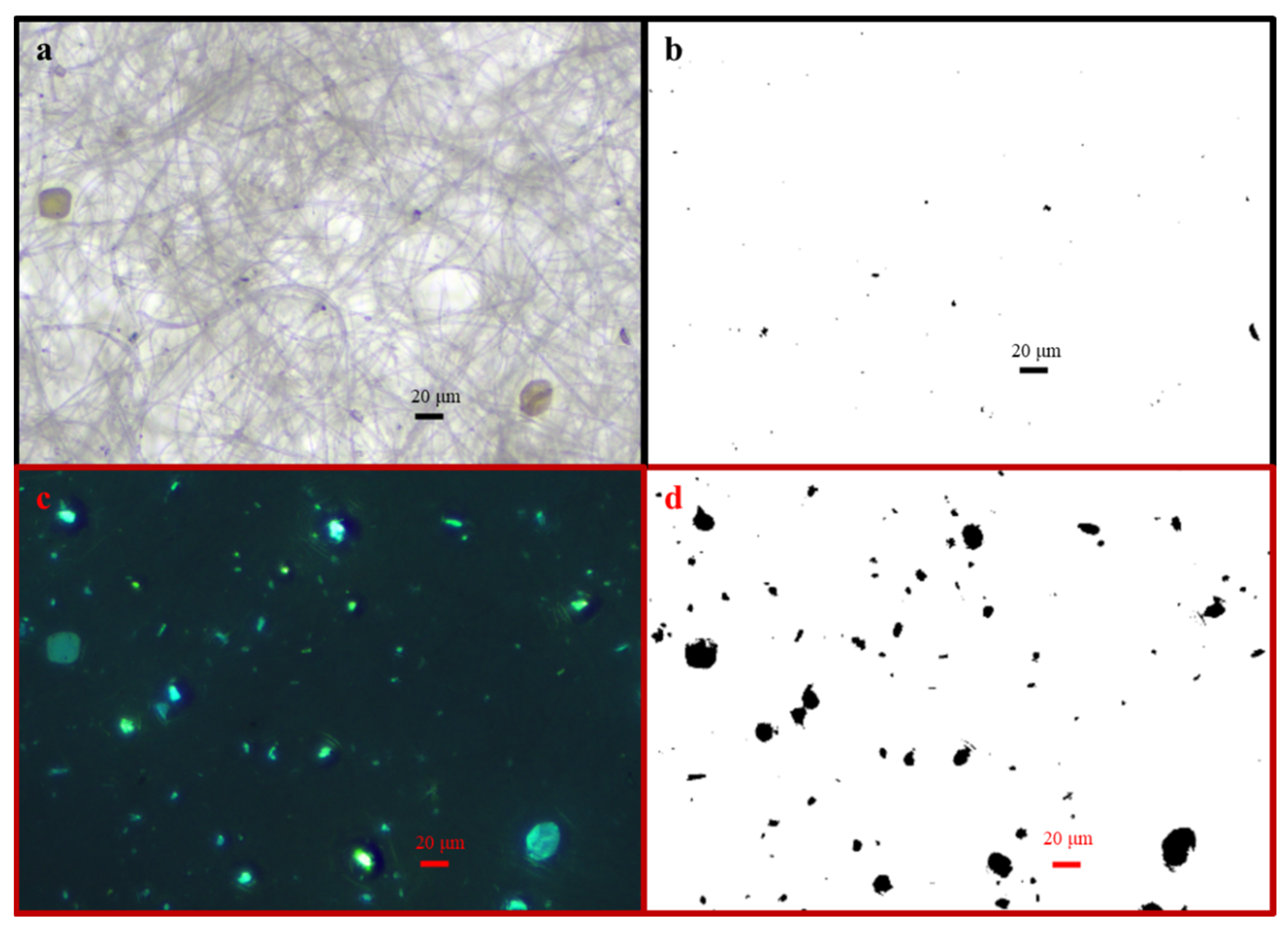 Toxics 14 00088 g005