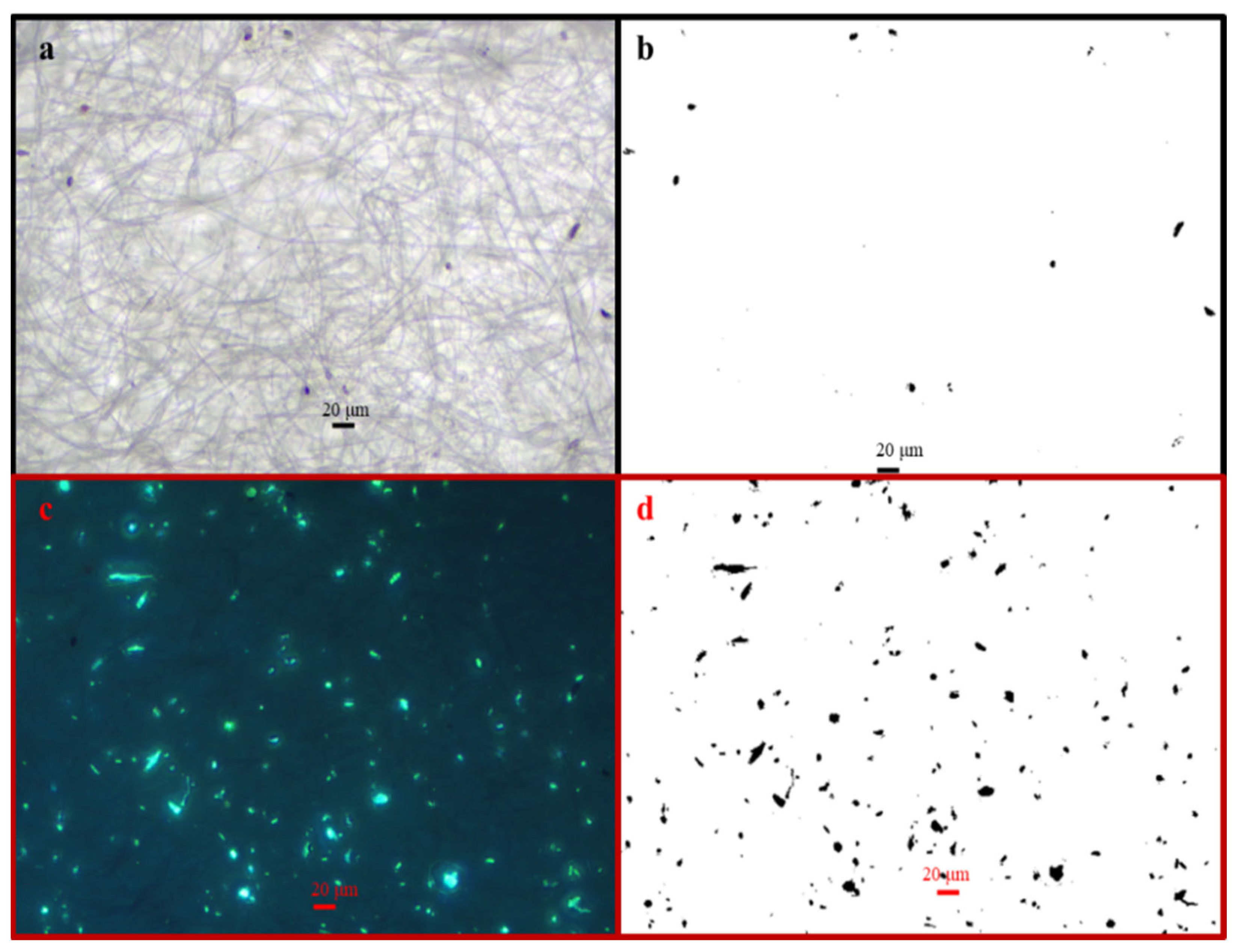 Toxics 14 00088 g006